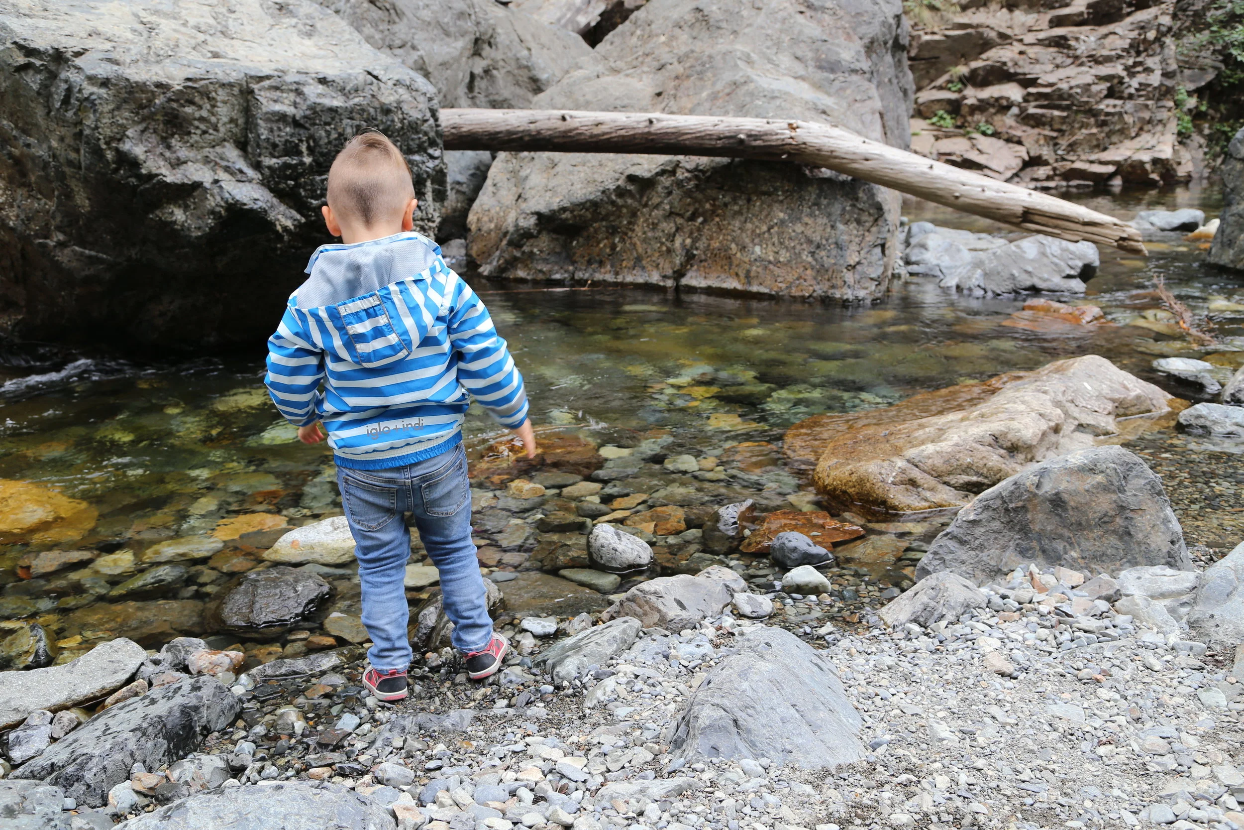 Out and About with Kids: Franklin Falls