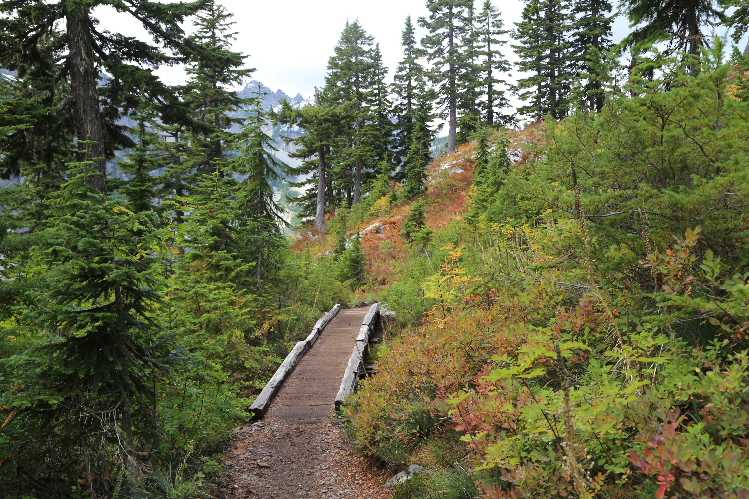 Out and about with kids: A glimpse of Fall at Snow Lake
