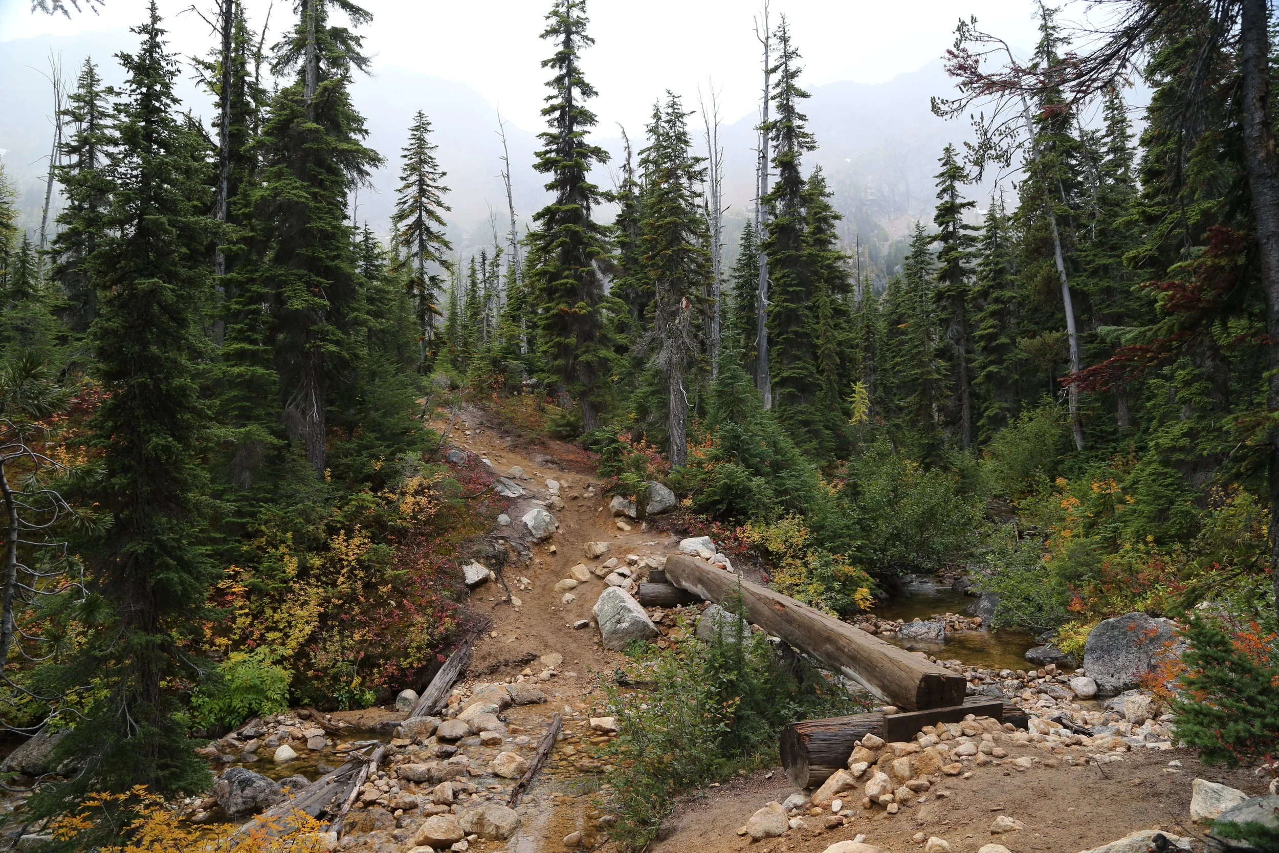 Out and About with Kids: Hike to Cutthroat Lake