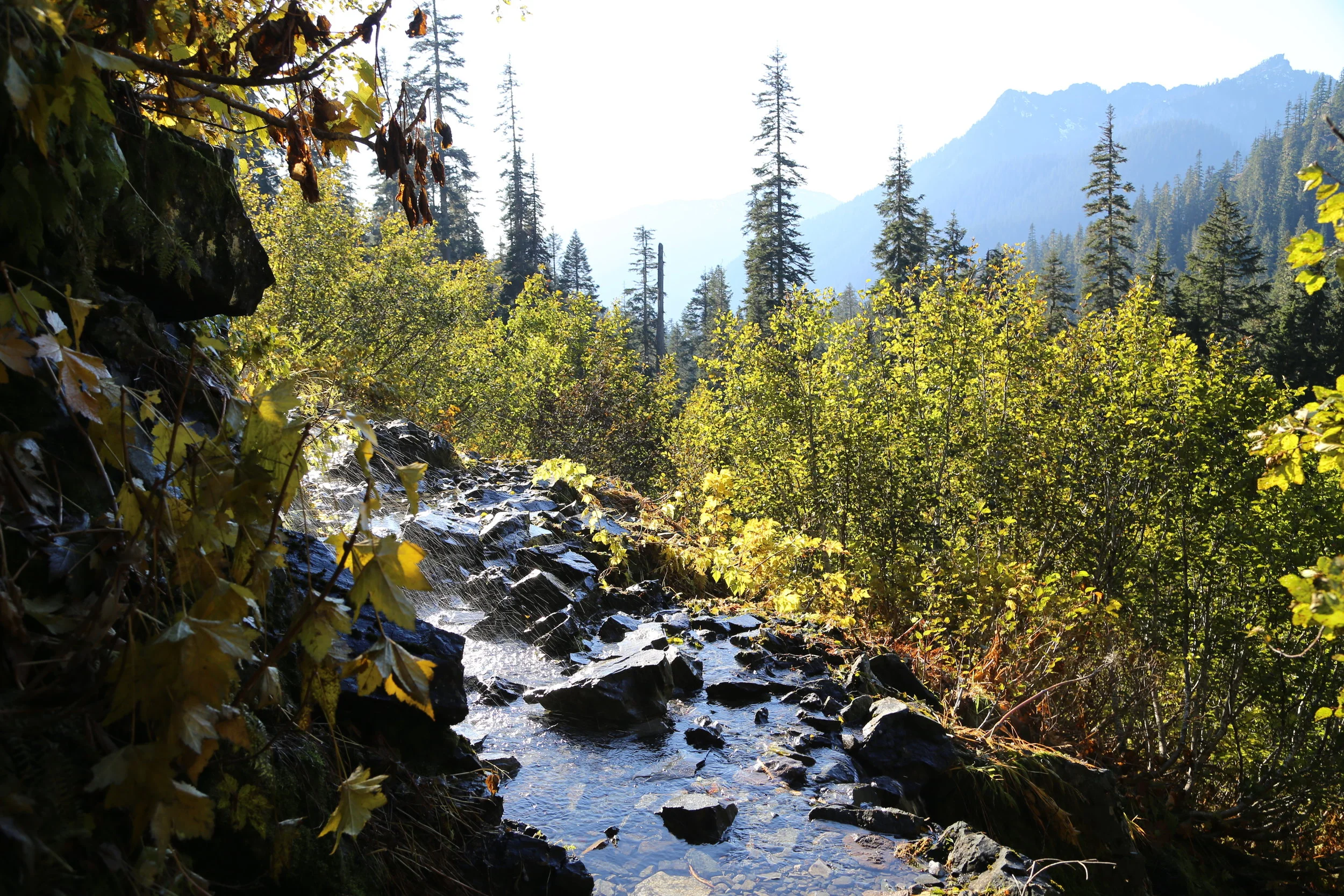 Hike to Kendall Katwalk