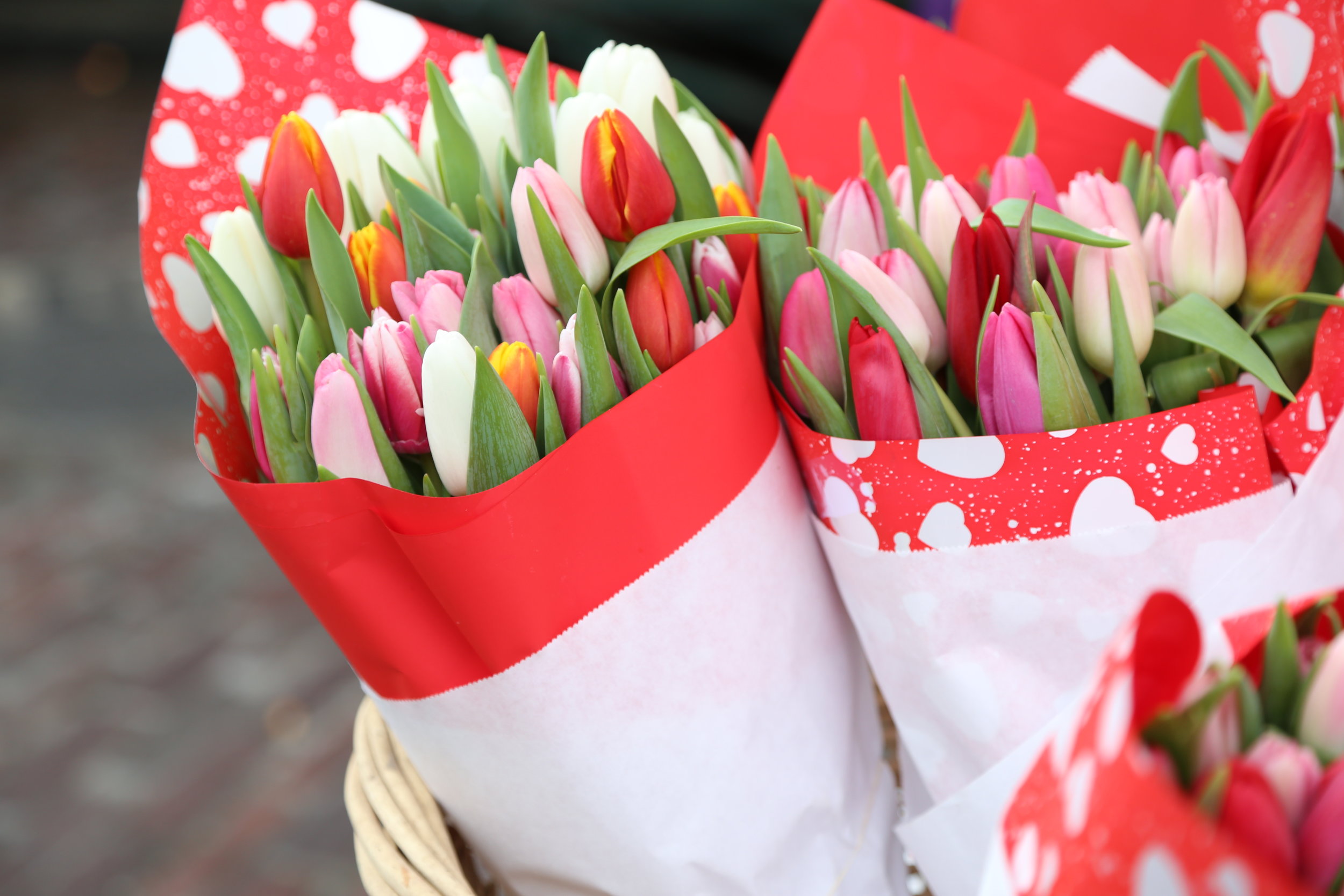 Valentine's Day