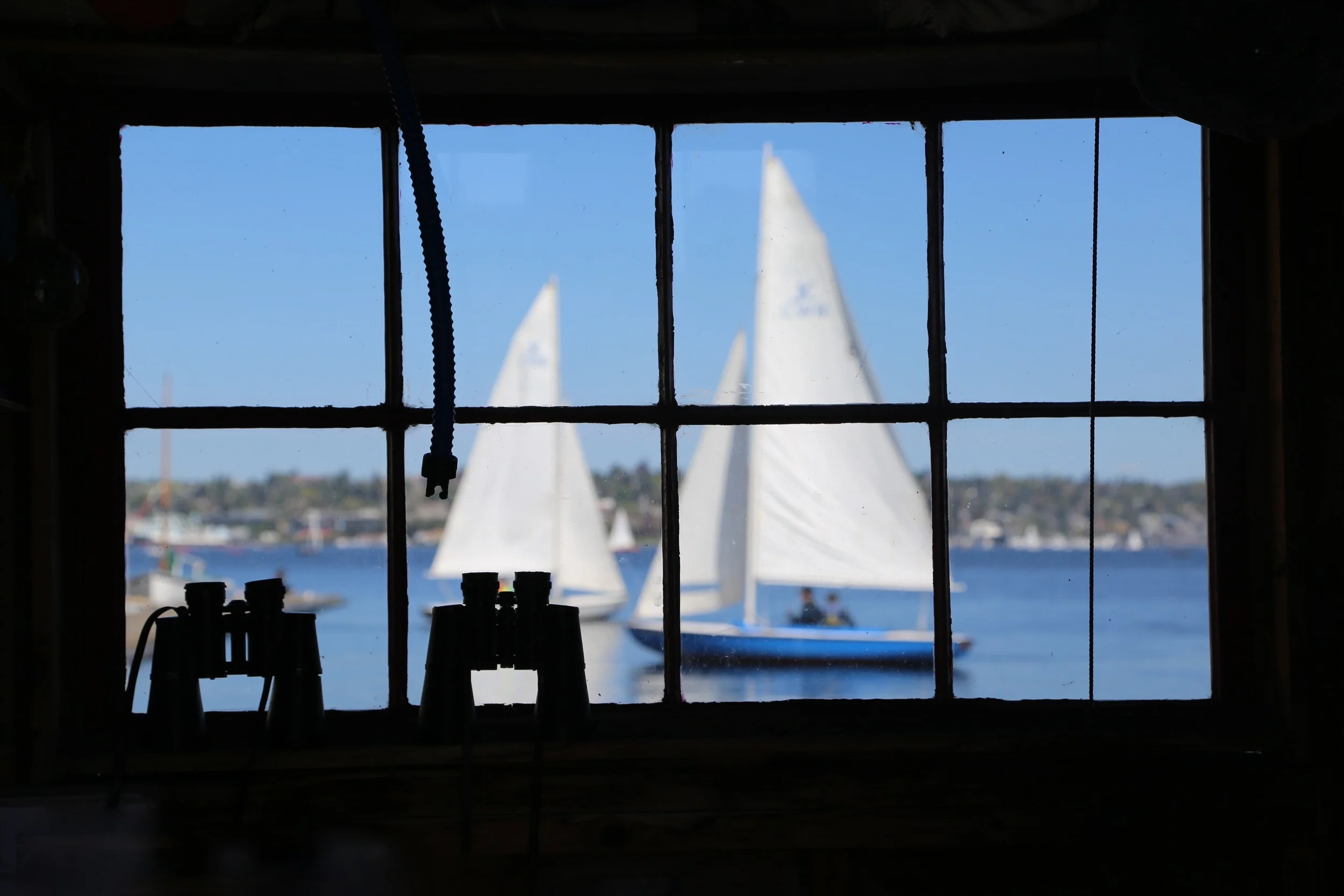 Spring time in Seattle