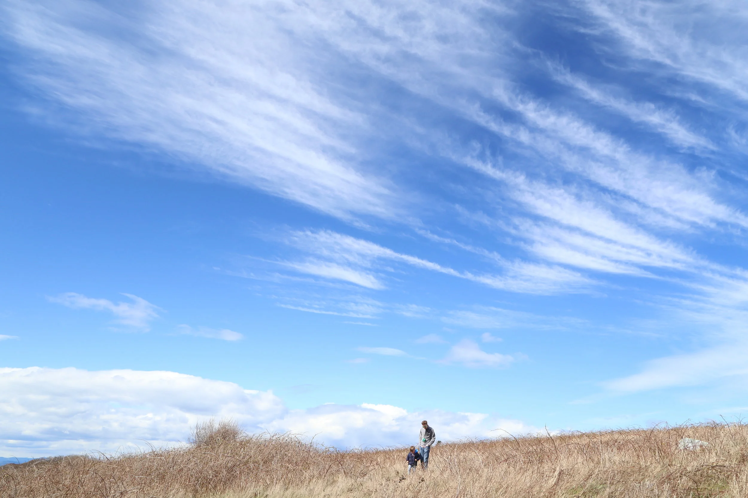 Long weekend in the San Juan Islands
