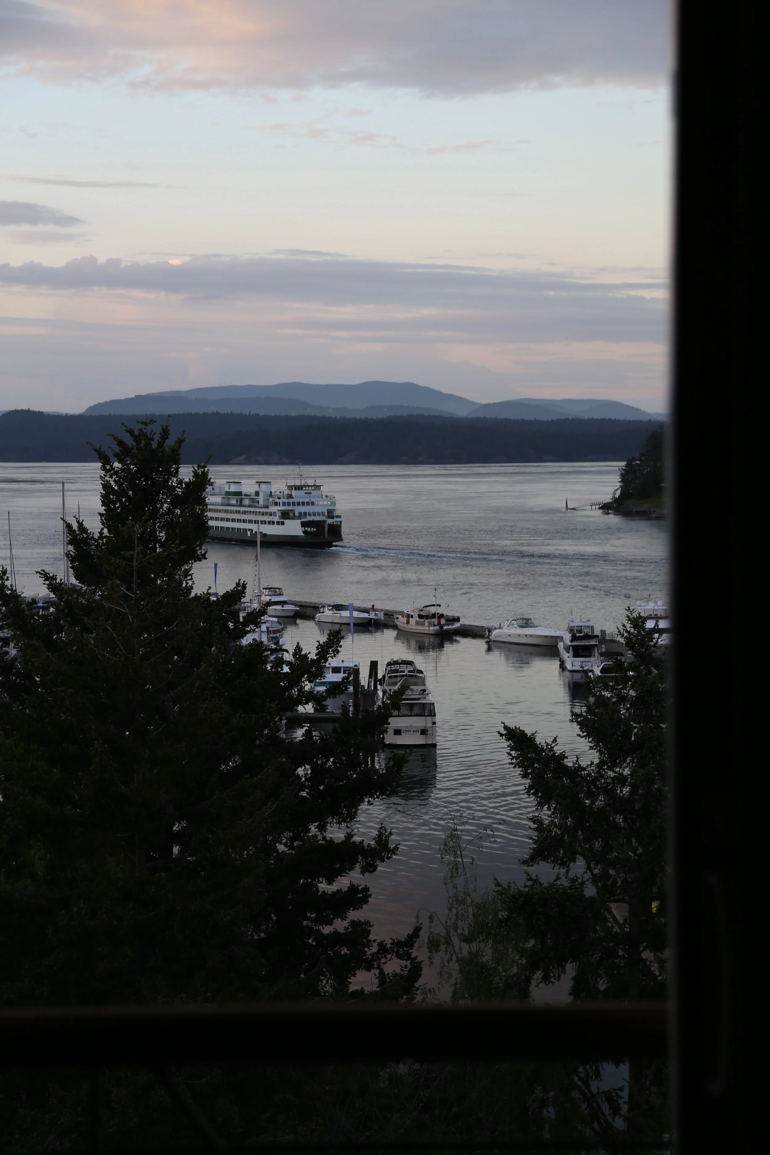 IMG_8815.jpg
