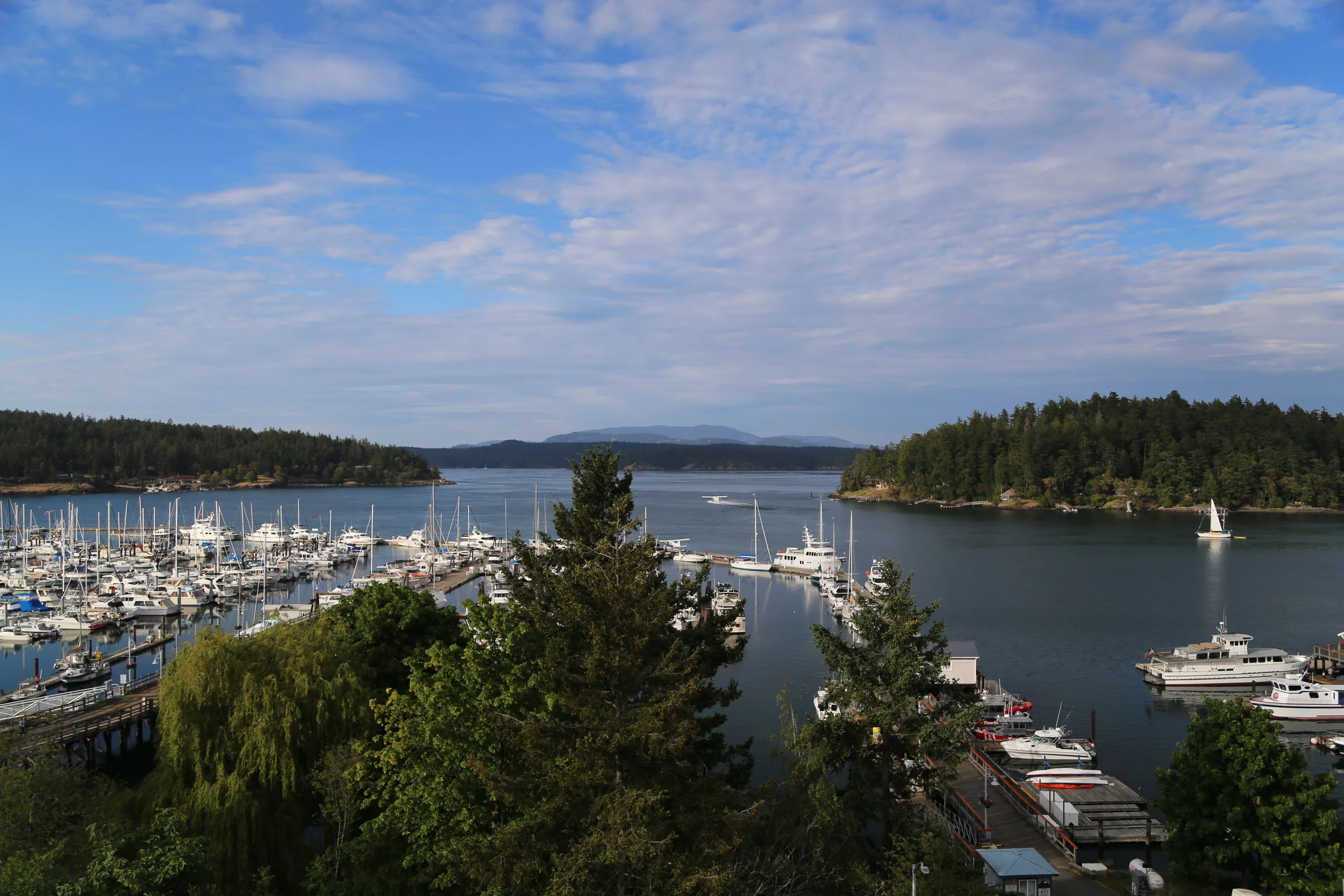 IMG_8545.jpg
