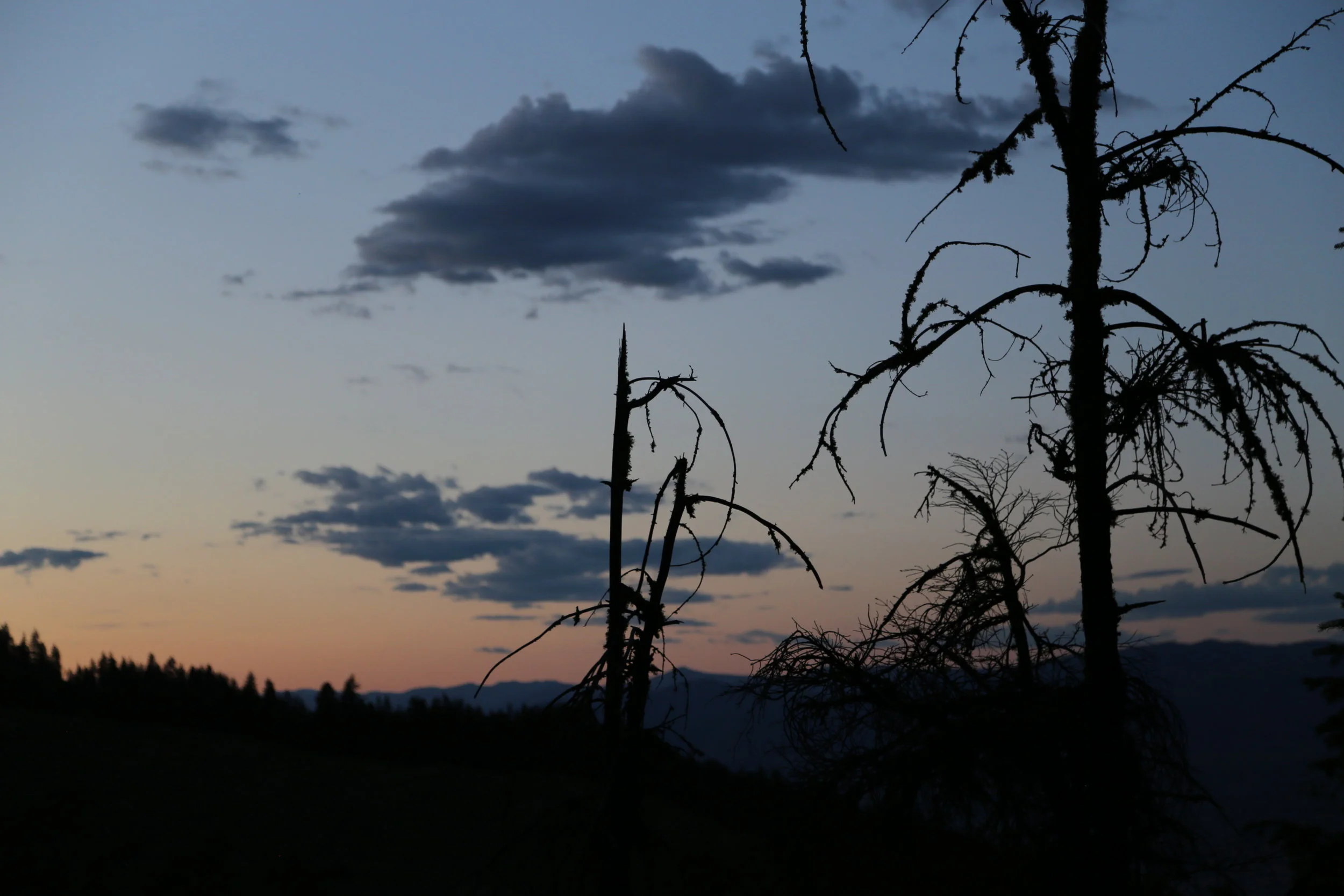 IMG_0635.jpg