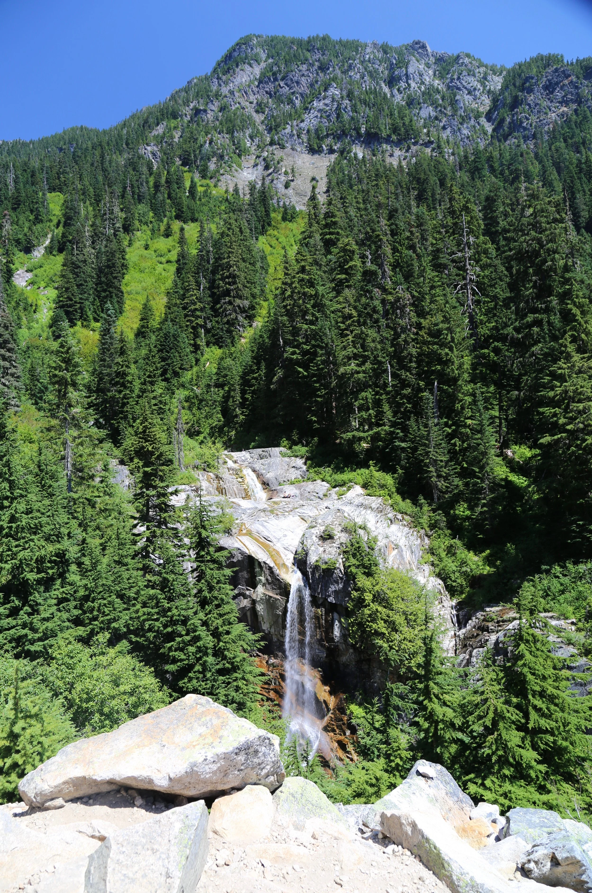 IMG_2010.jpg