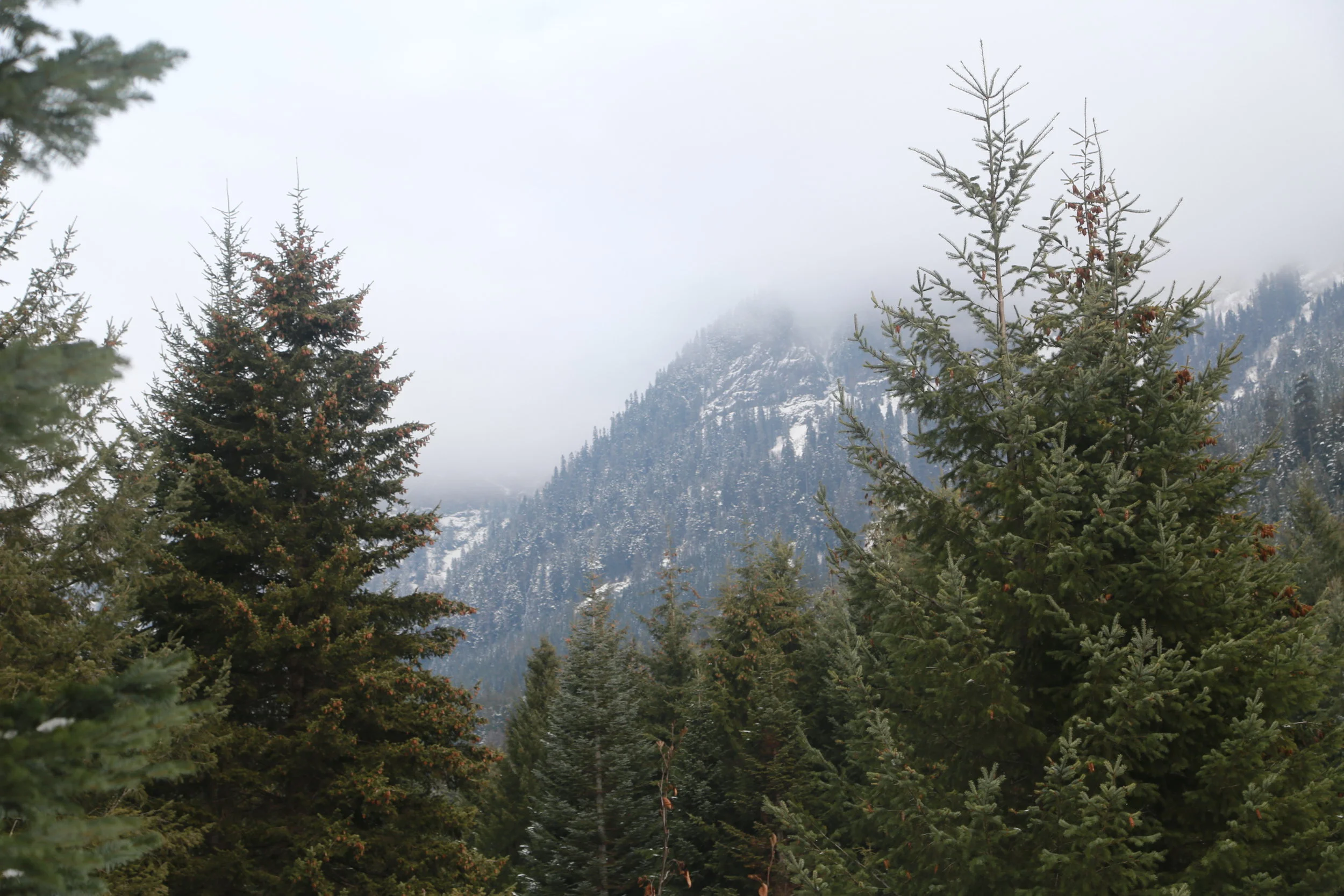 IMG_1226.jpg
