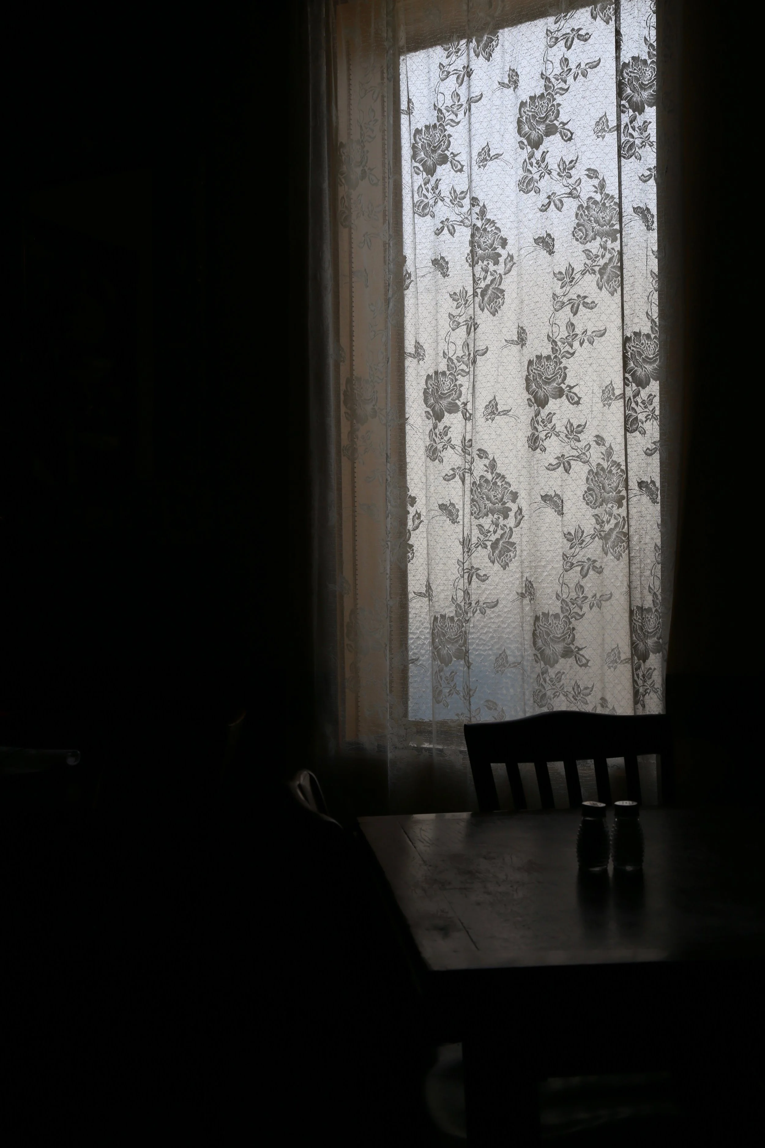 IMG_1949.jpeg