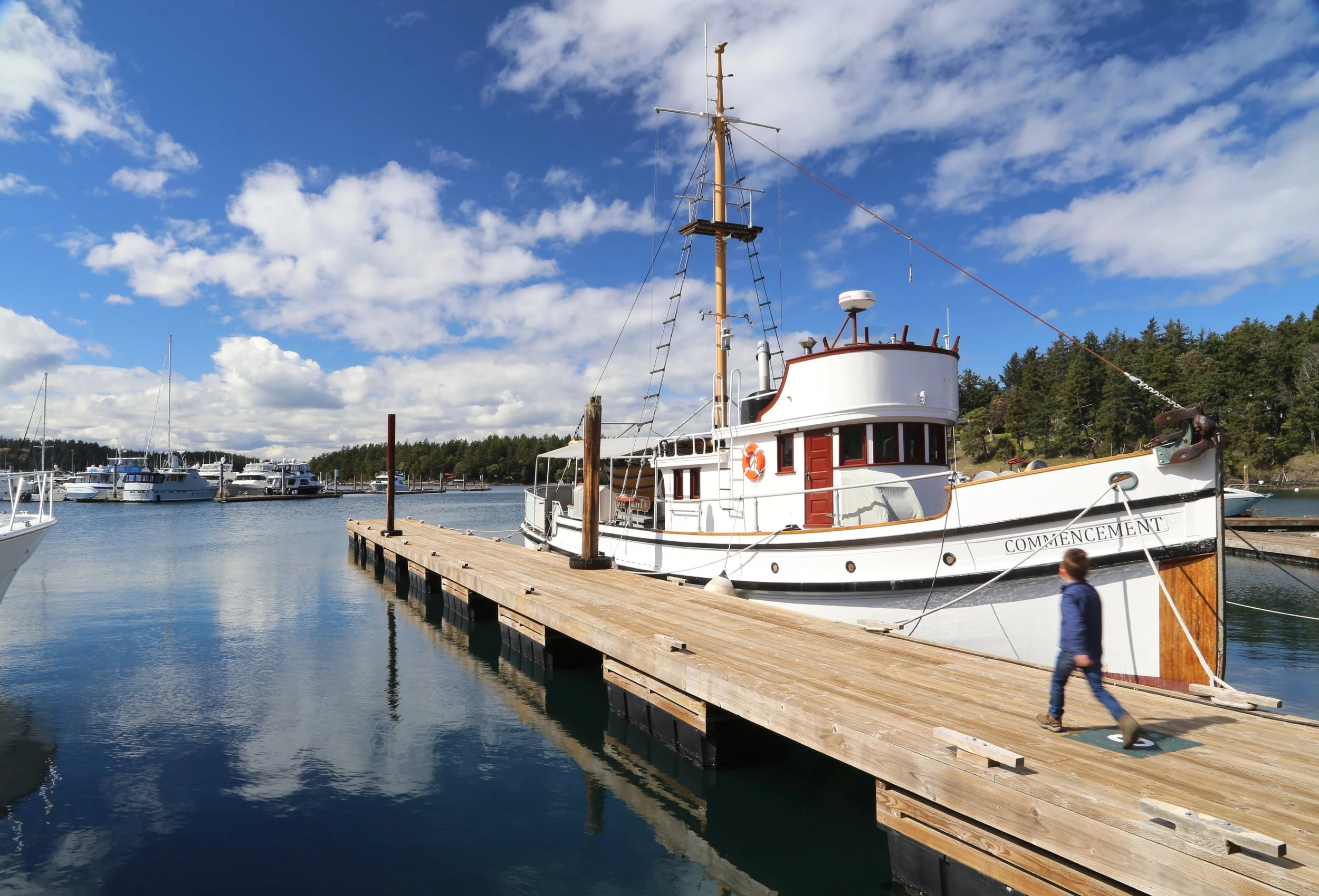 Spring in the San Juan Islands