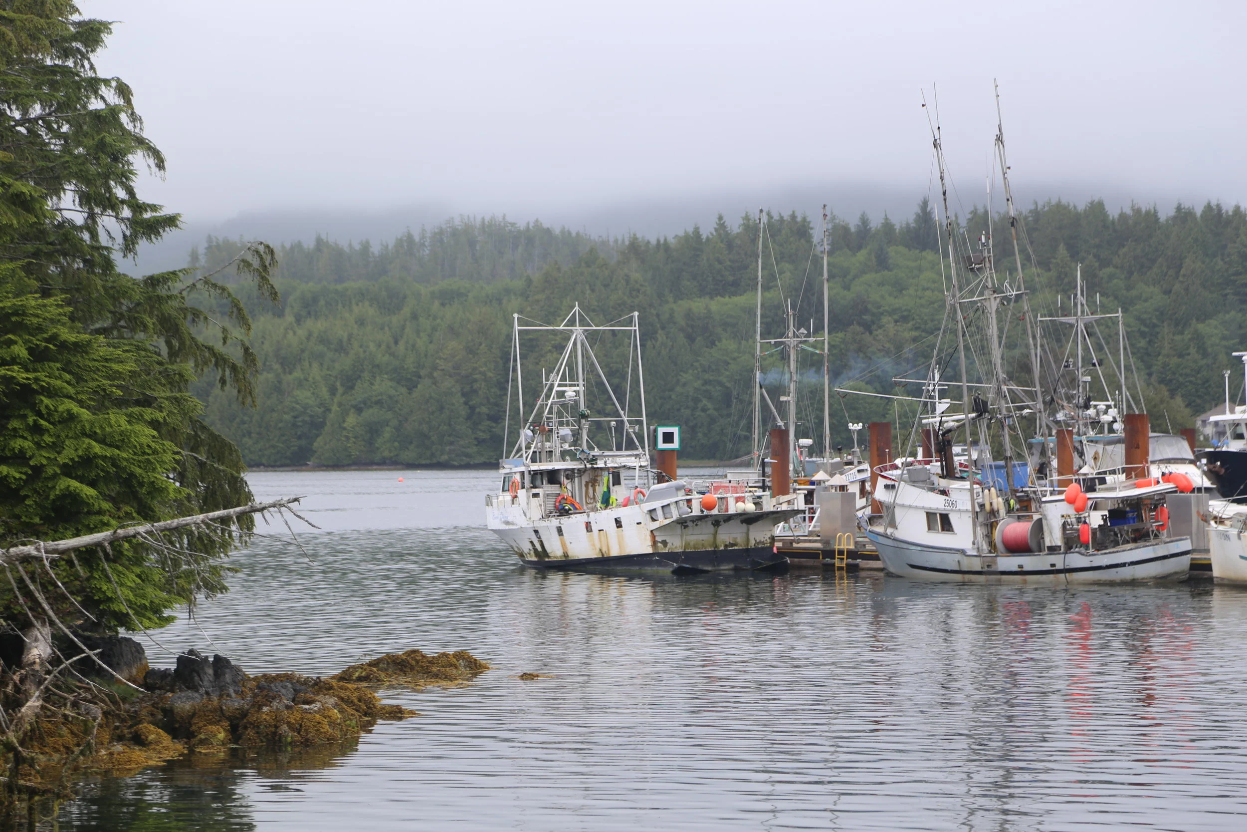 Archipelago Wildlife Cruises