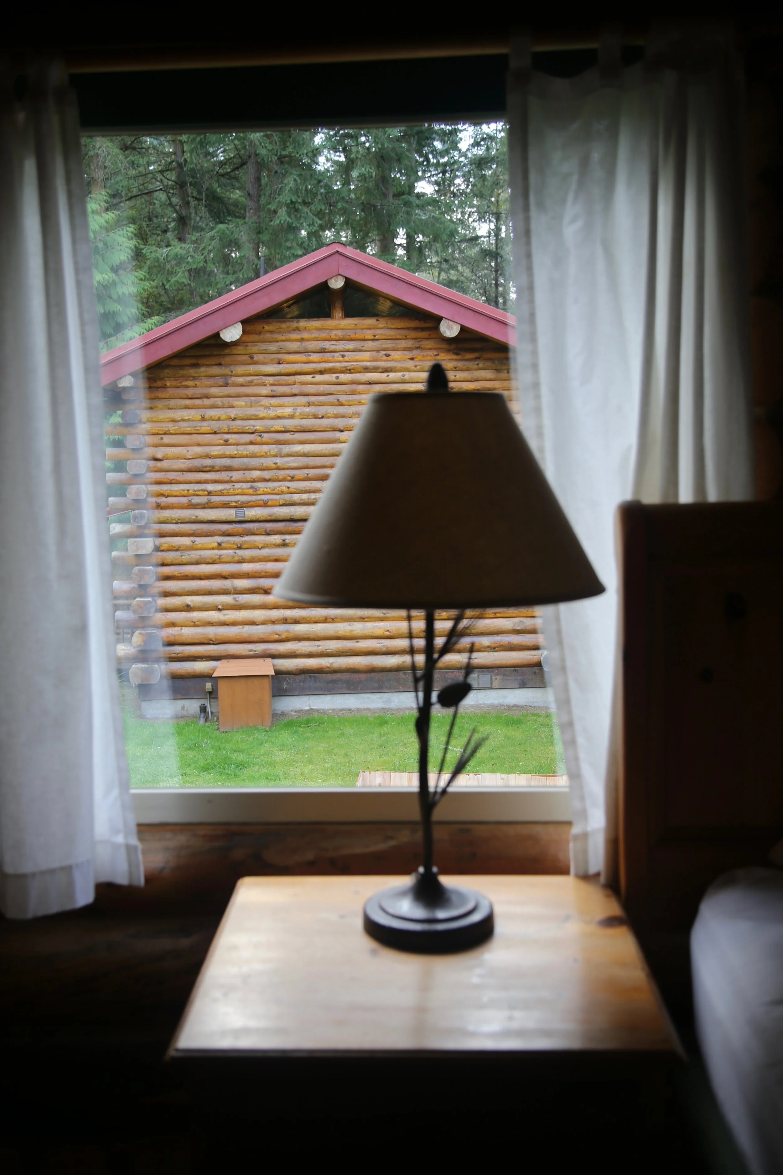 IMG_9509.jpeg
