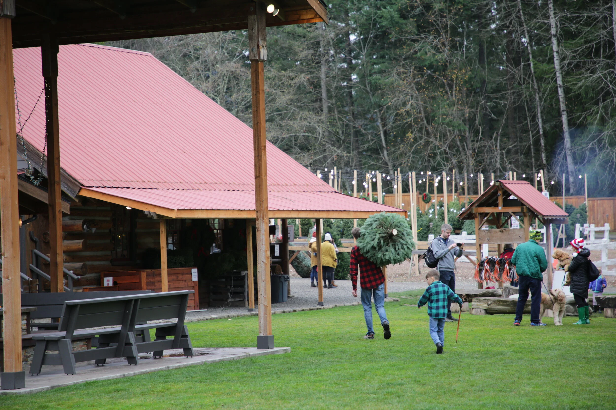 Trinity Tree Farm