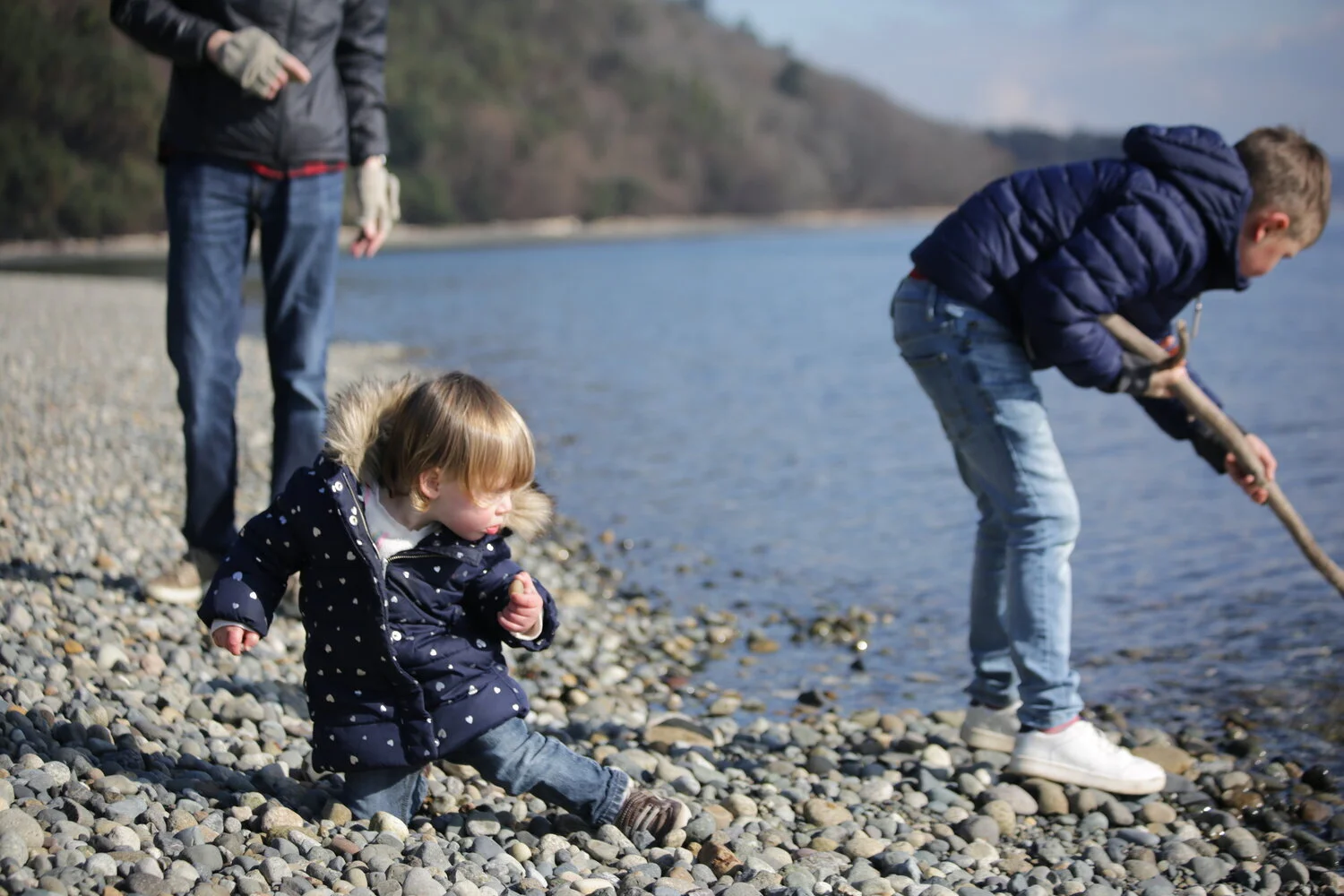 Remote learning/work at The Lodges on Vashon