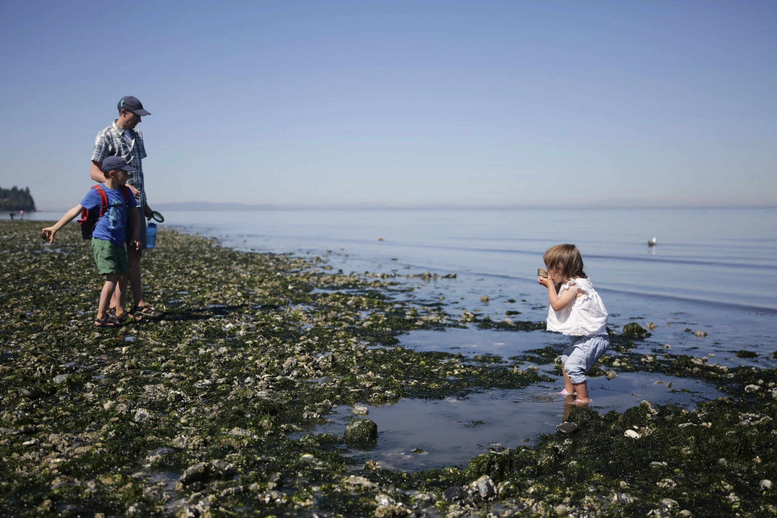 Birch Bay State Park 