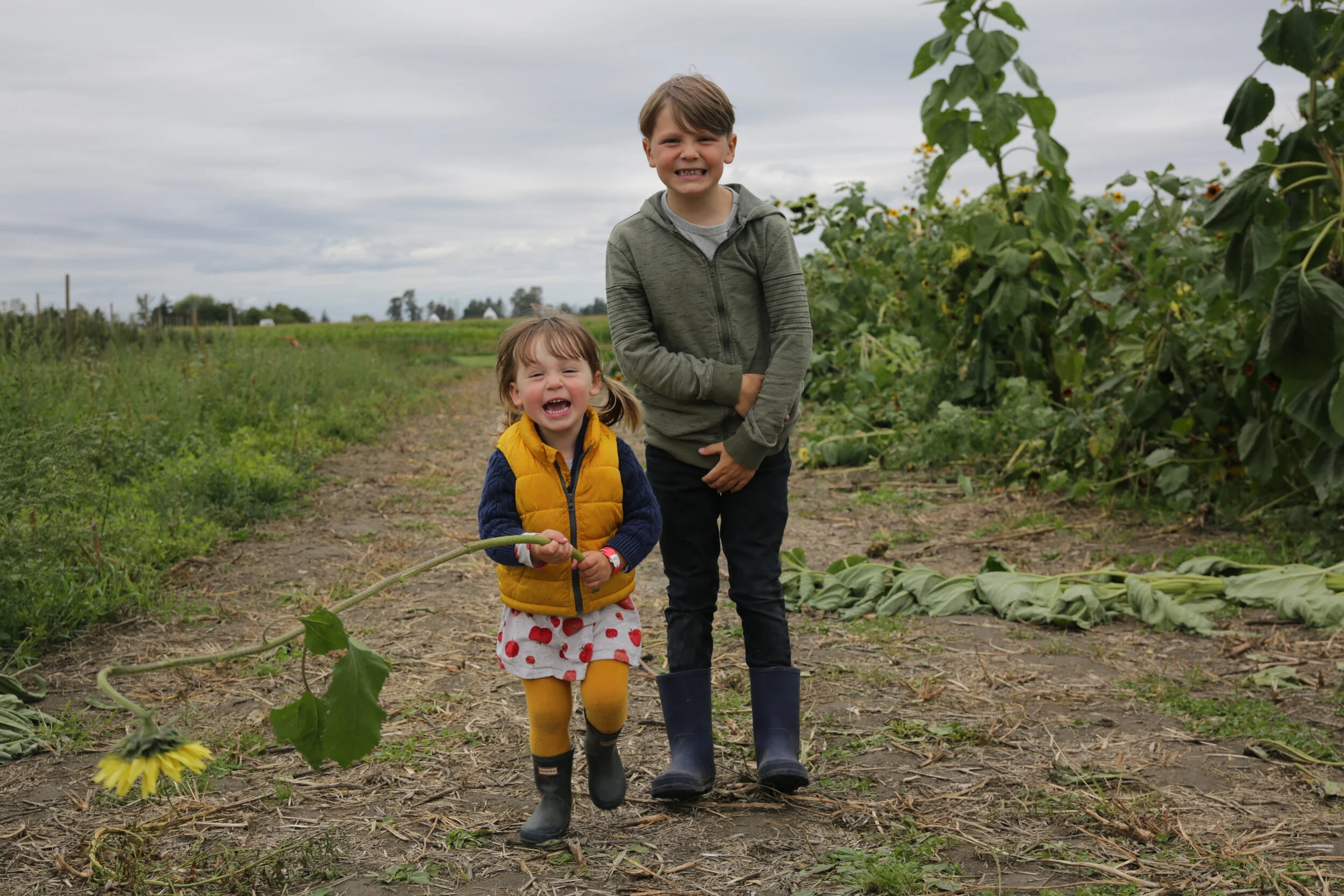 Fall at Swan Trail Farm