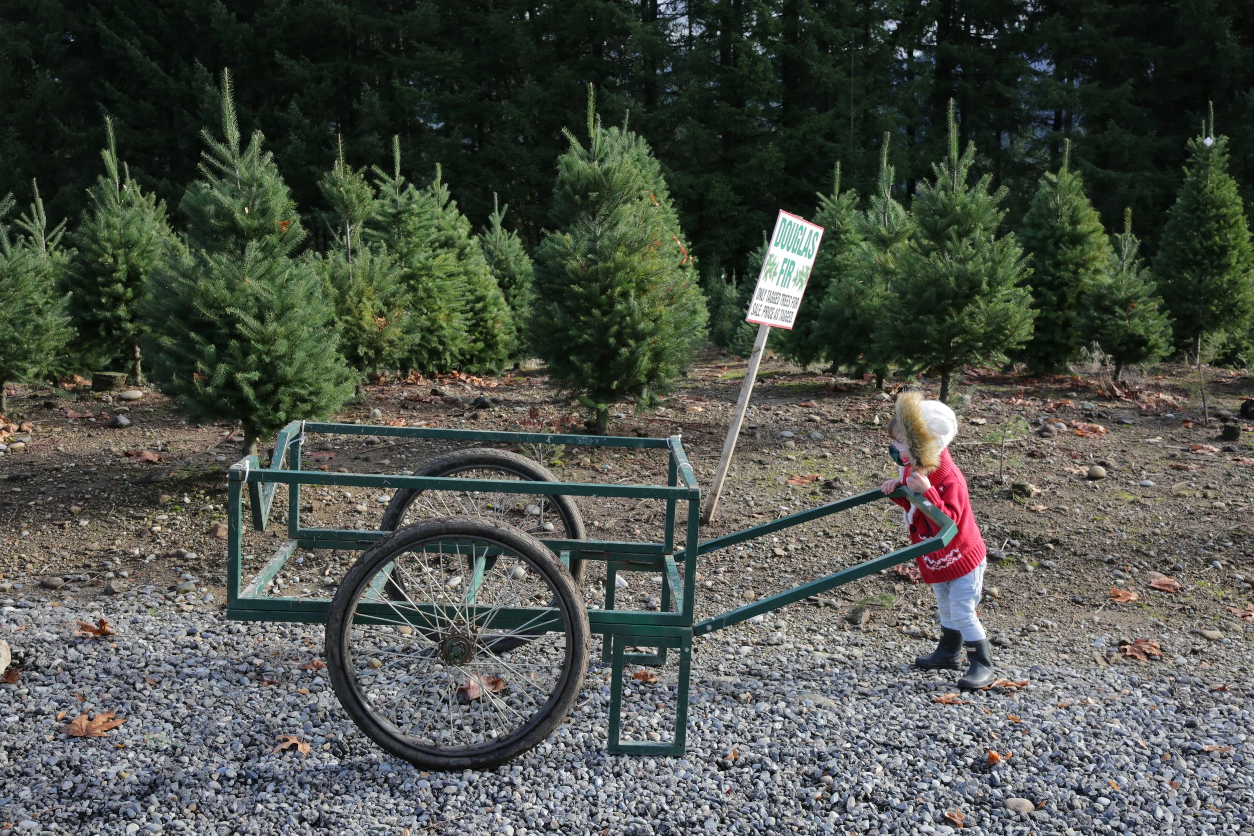Trinity Tree Farm