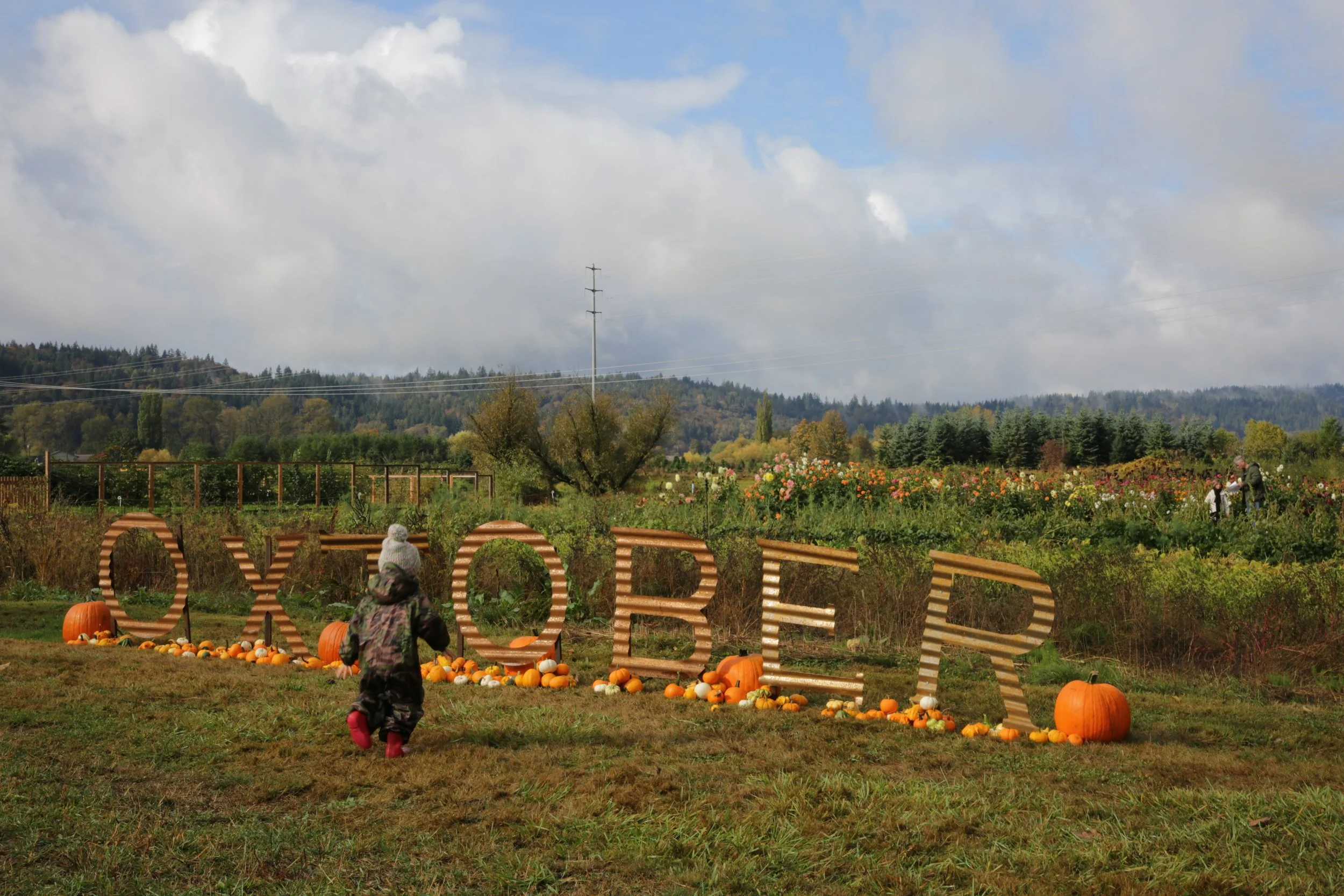 Oxtober at Oxbow Farm