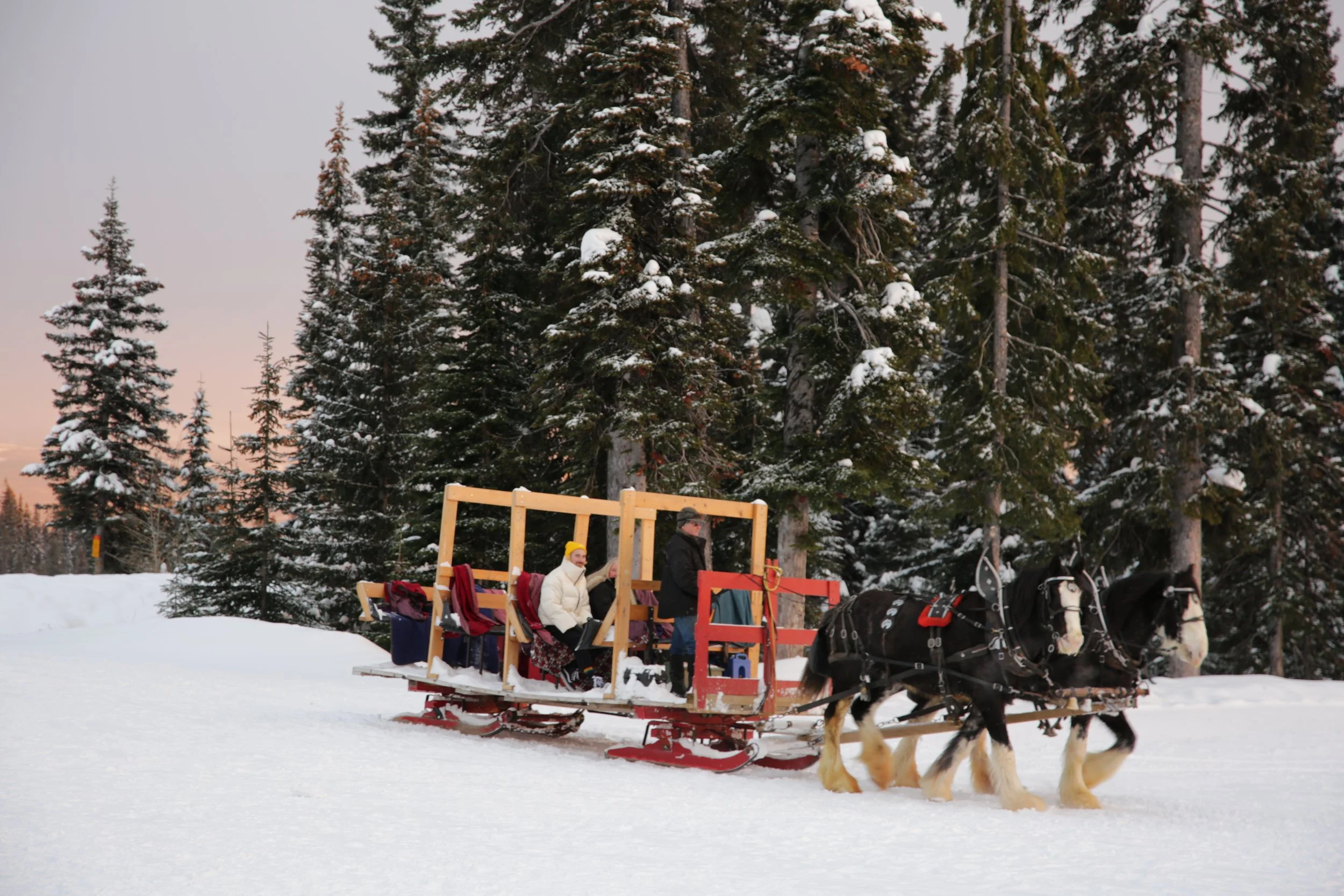 Snow fun in Big White