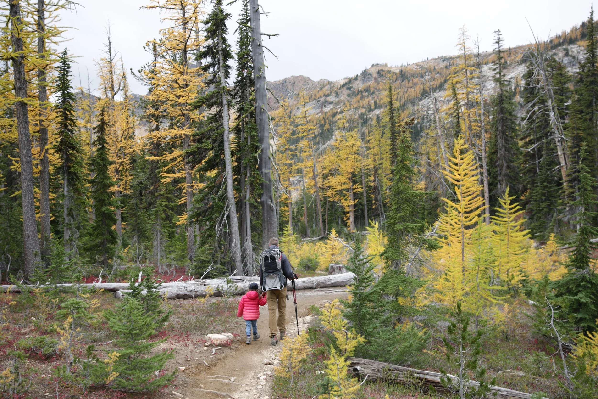 North Cascades in the Fall 
