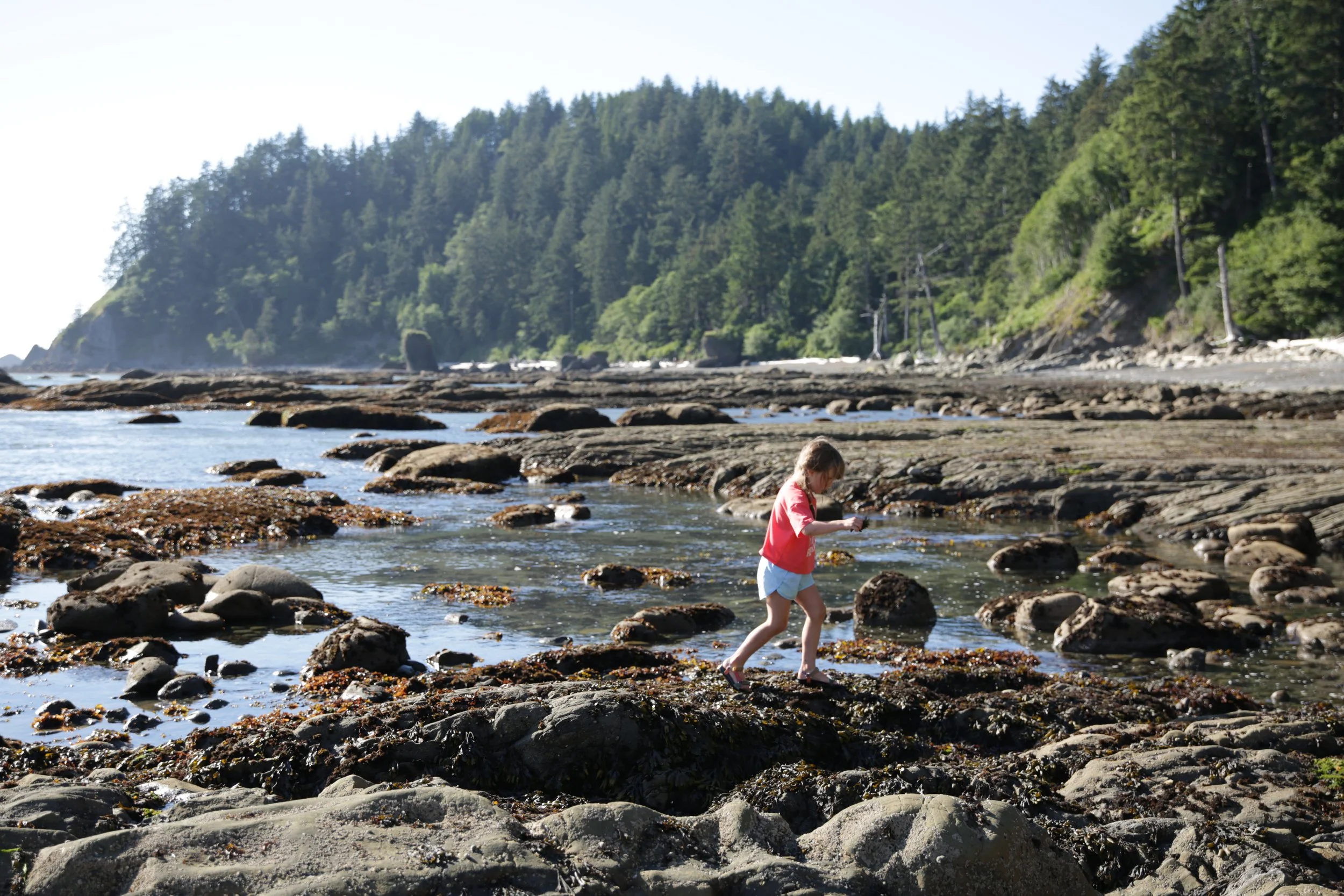 Camping on the Washington coast 