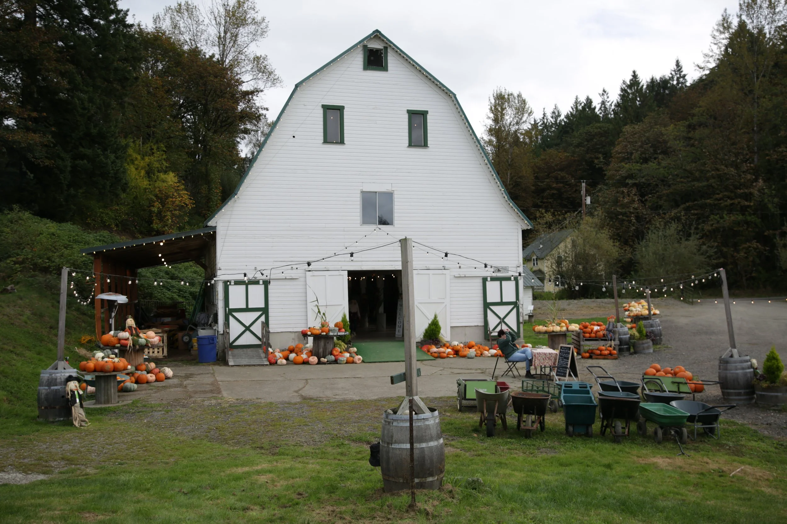 Novelty Hill Farm