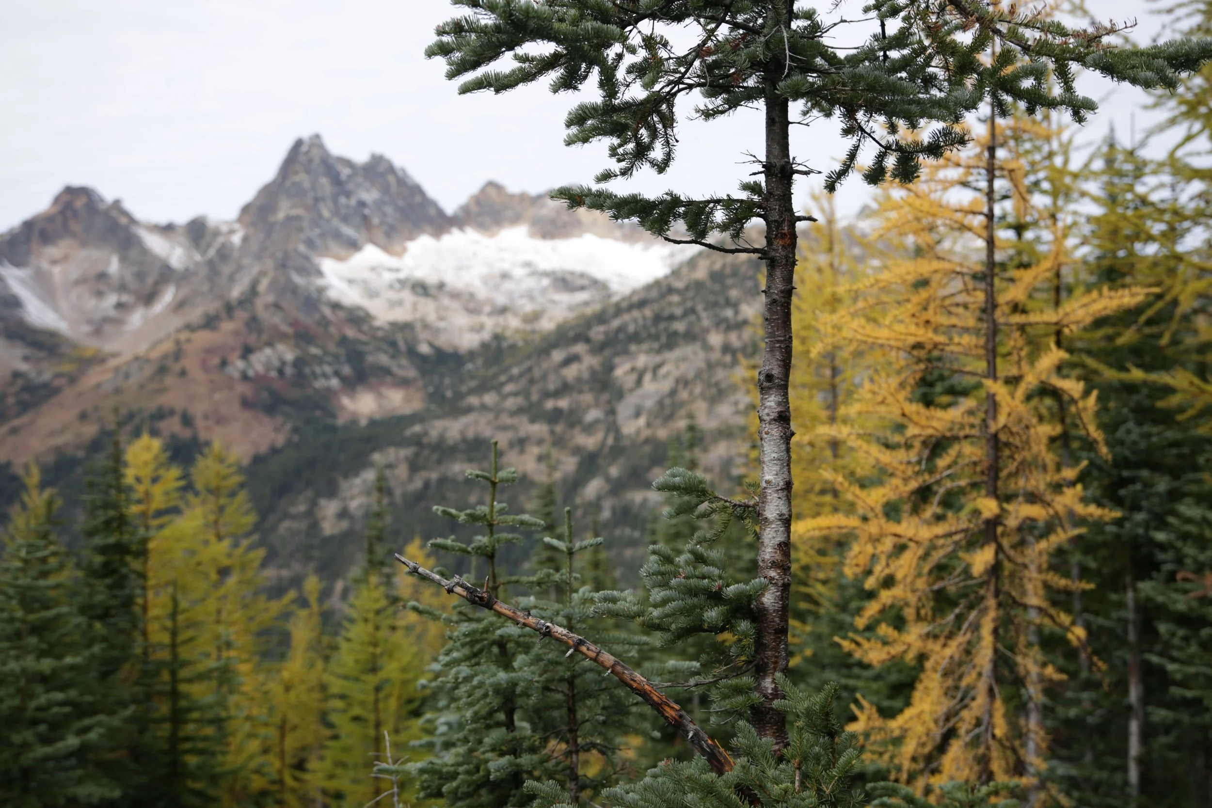 North Cascades in the Fall