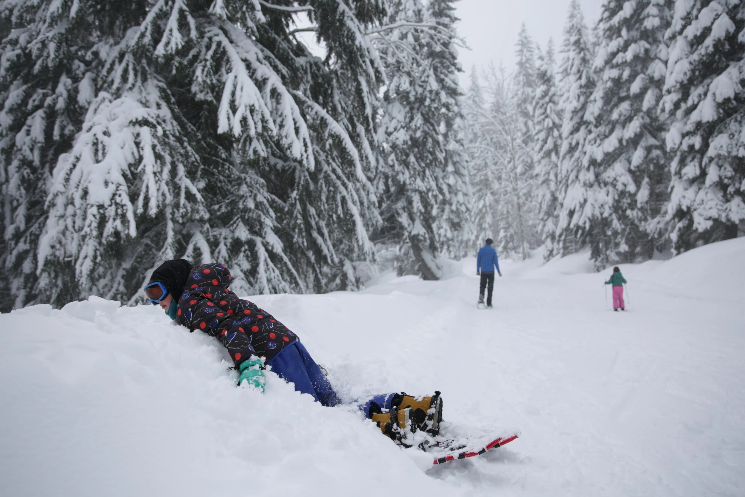 Winter at Schweitzer 
