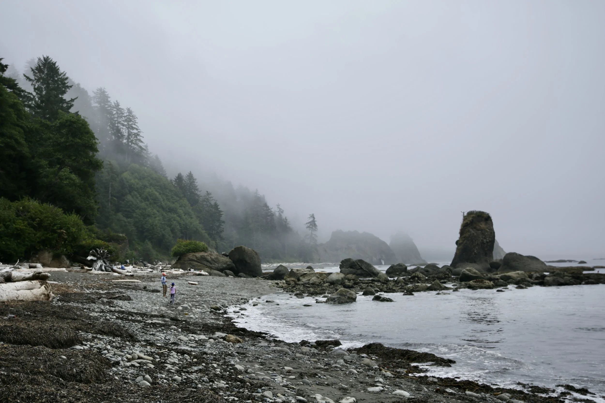 Camping on the Washington coast
