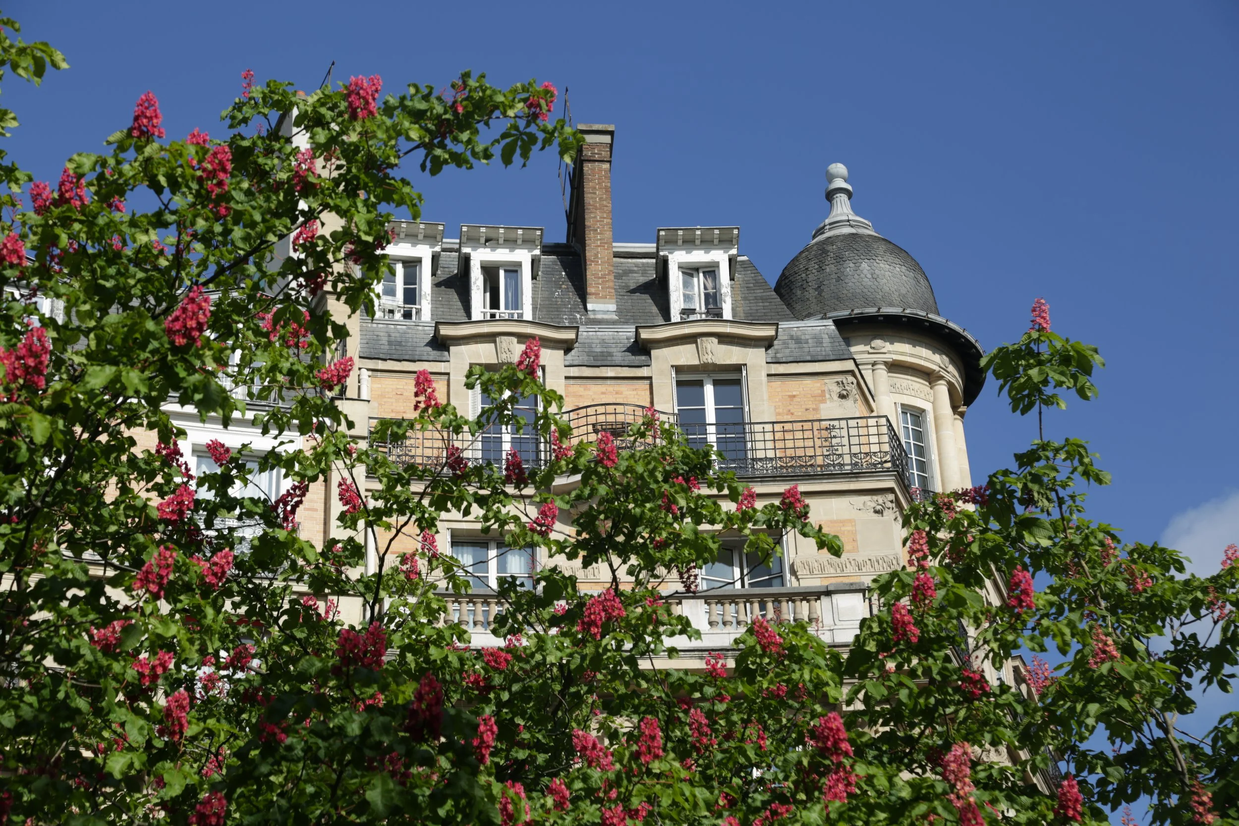 Paris in the Springtime