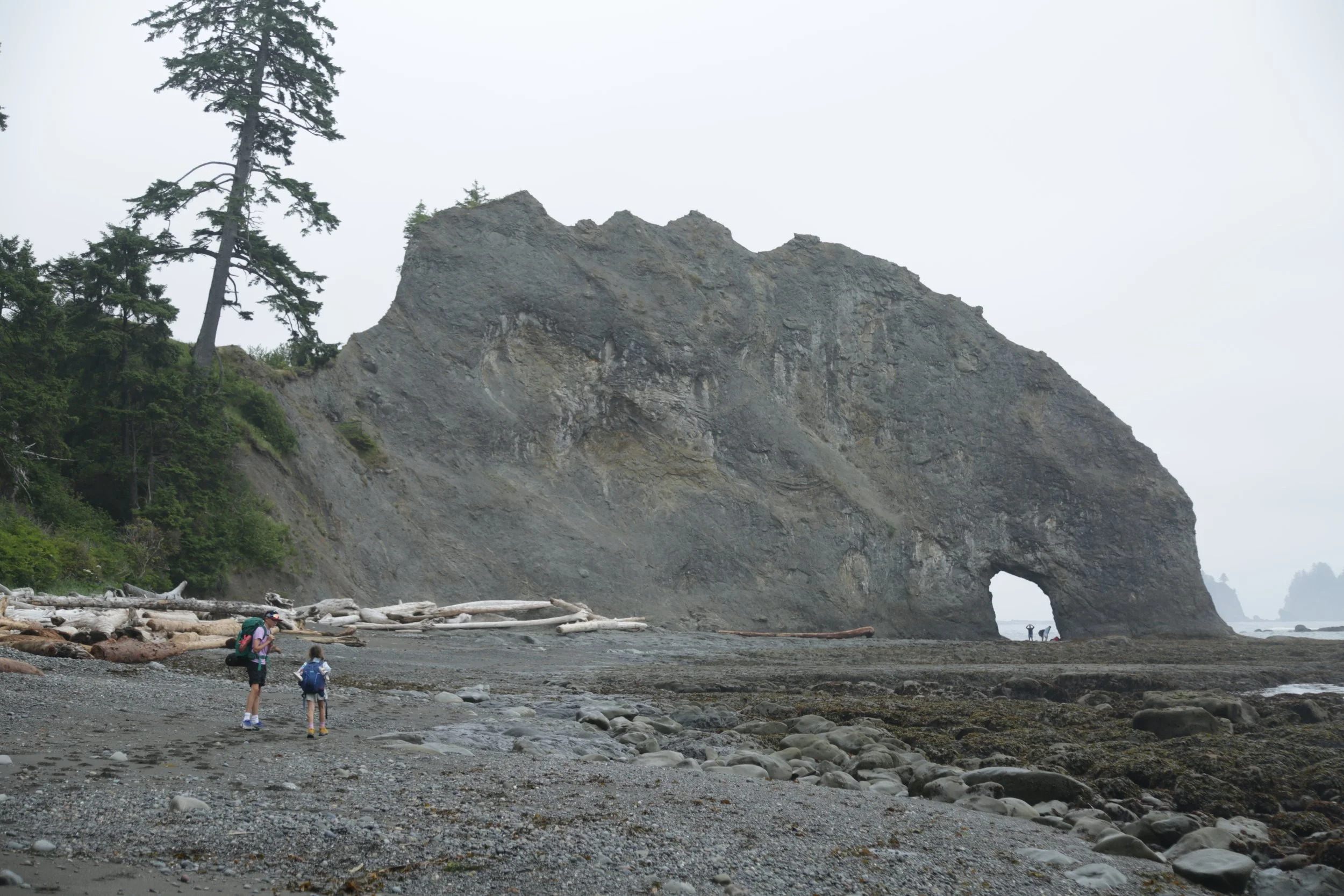 Camping on the Washington Coast
