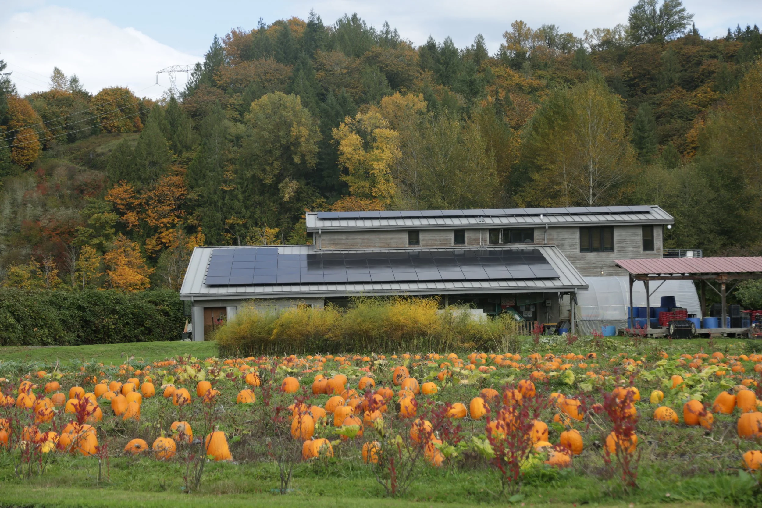Oxtober at Oxbow Farm
