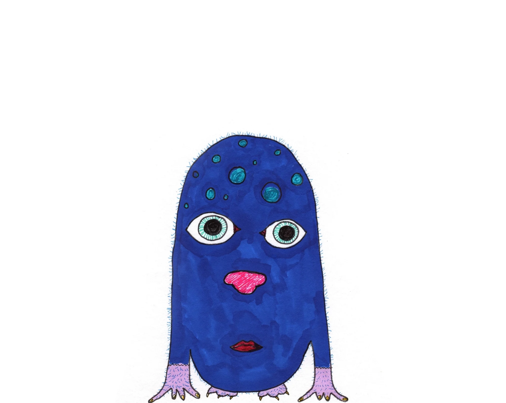 Angus Blue.jpg