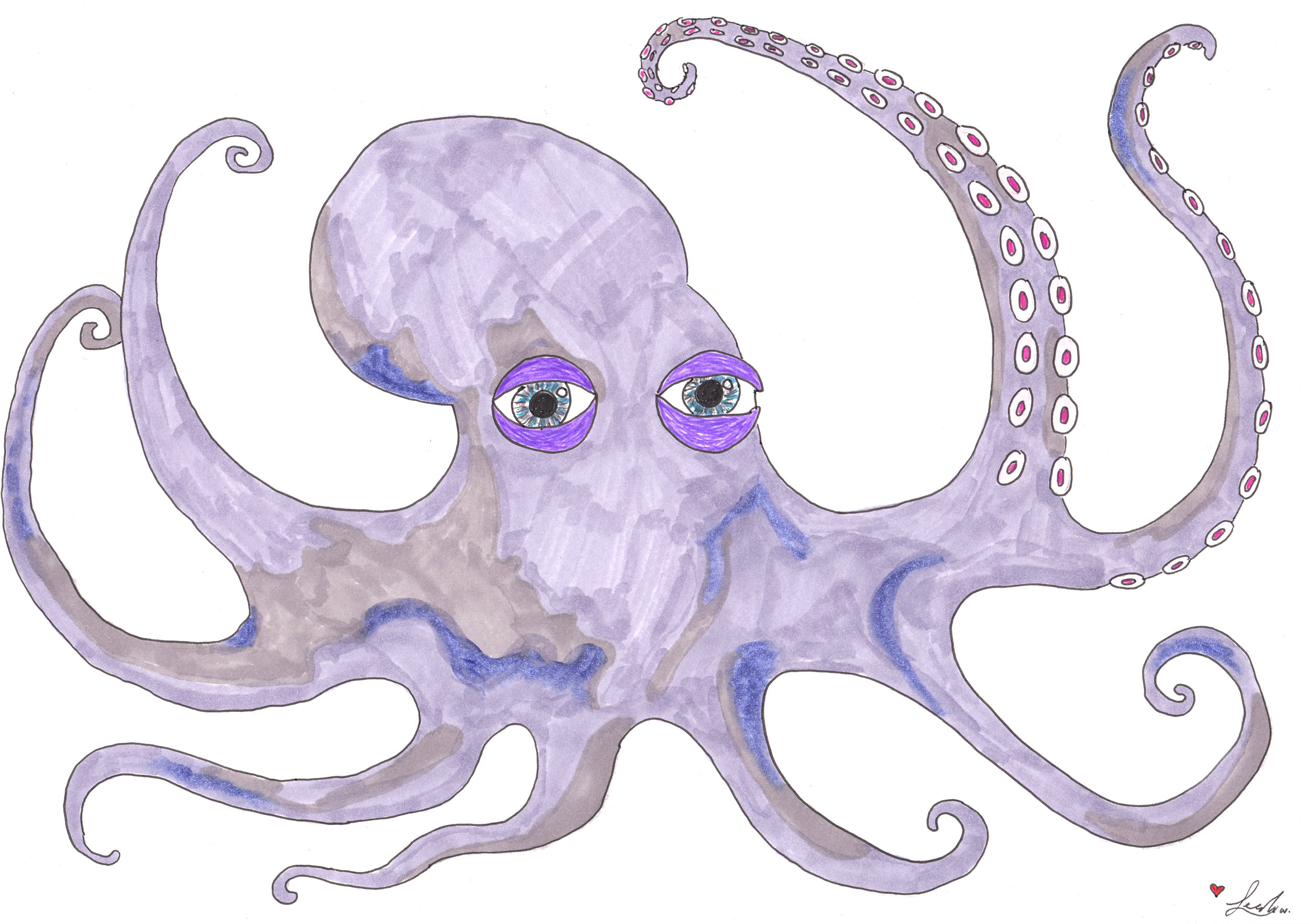 Octopus whitened smaller .jpg
