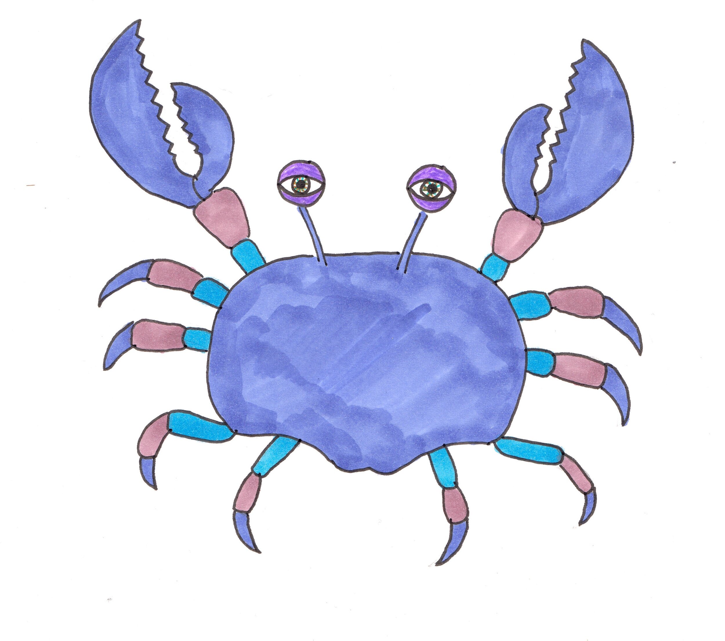 Crab purple crop.jpg