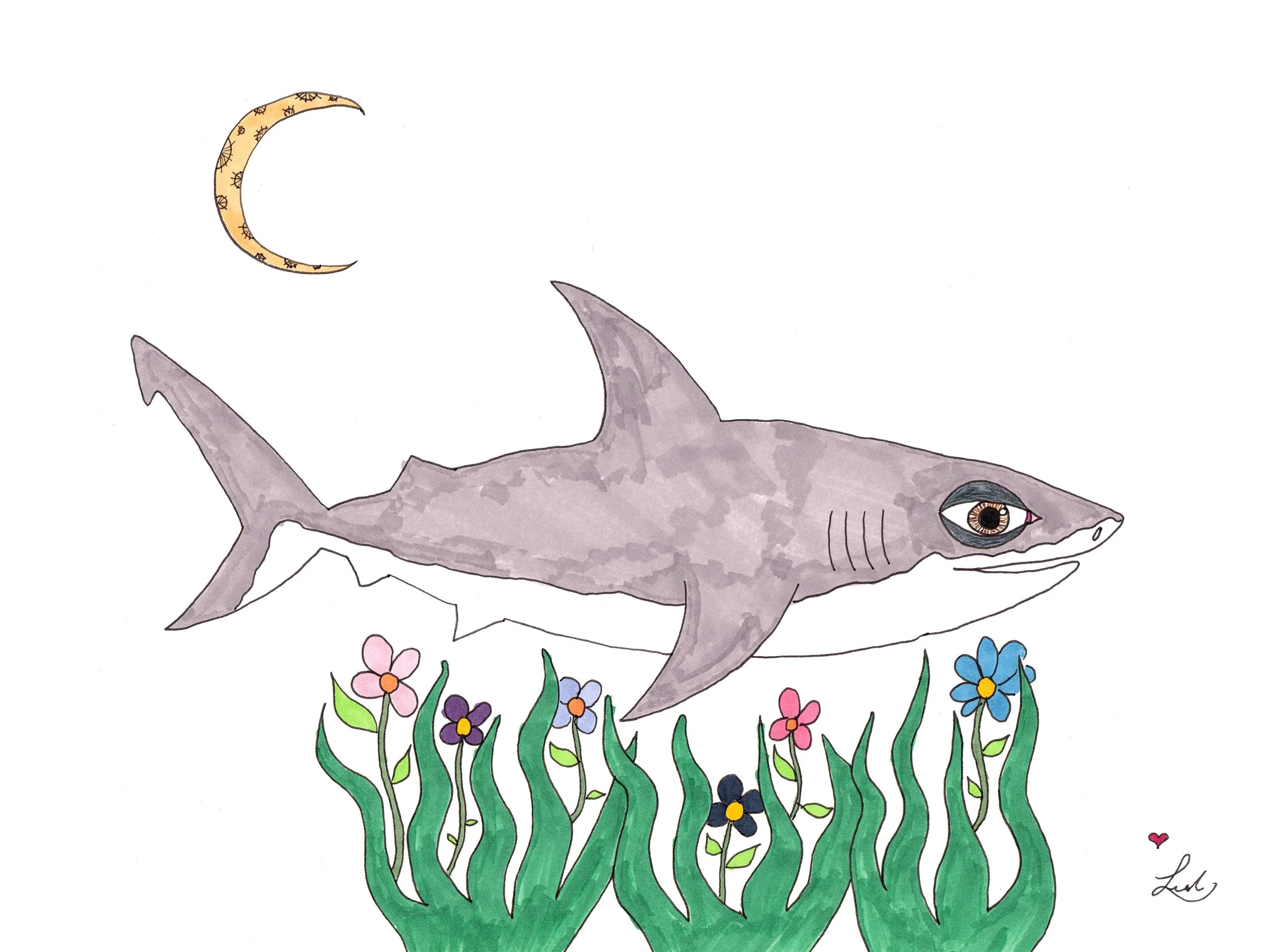 Shark proof v1.jpg