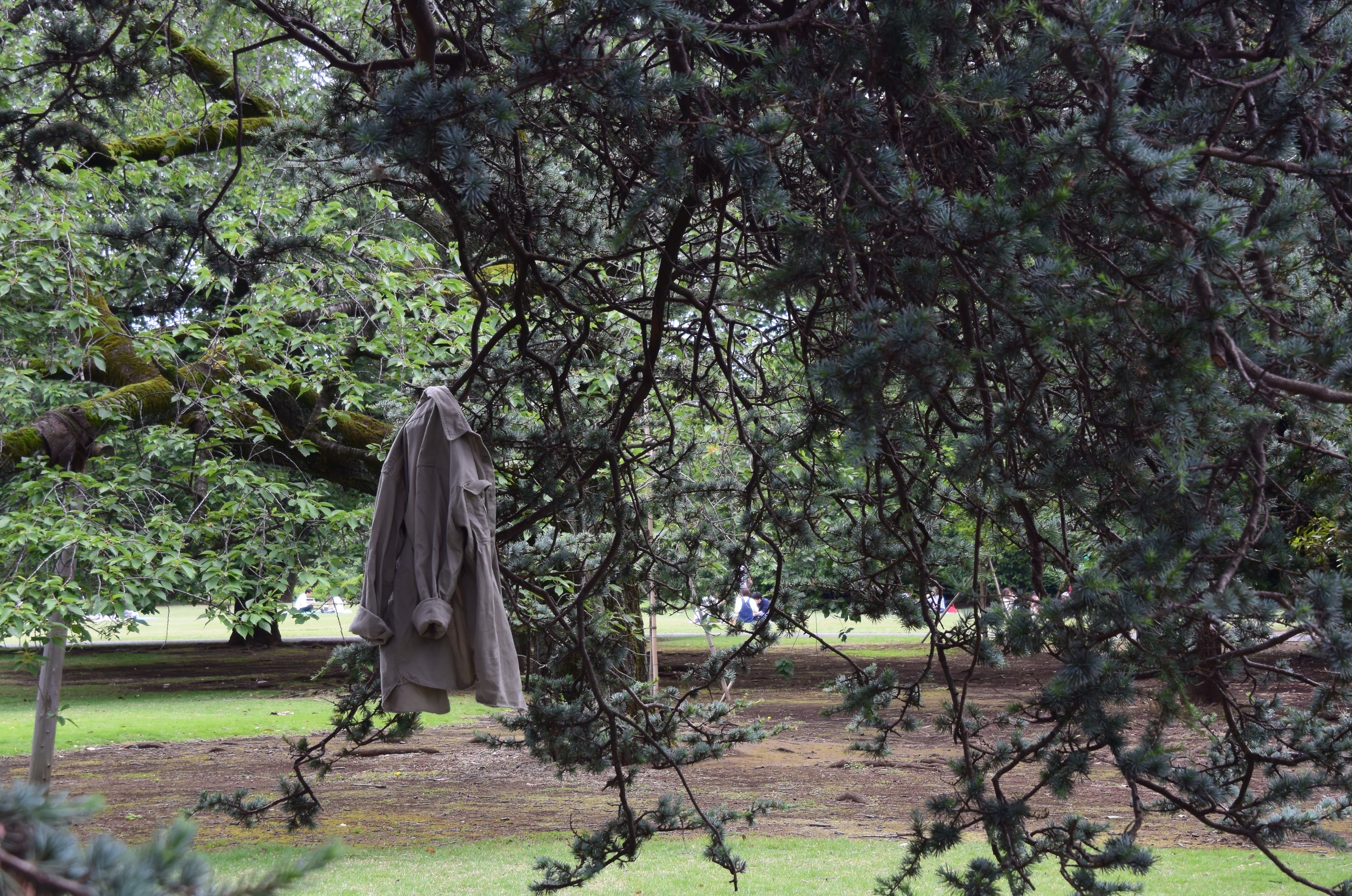 DSC_5605.jpg
