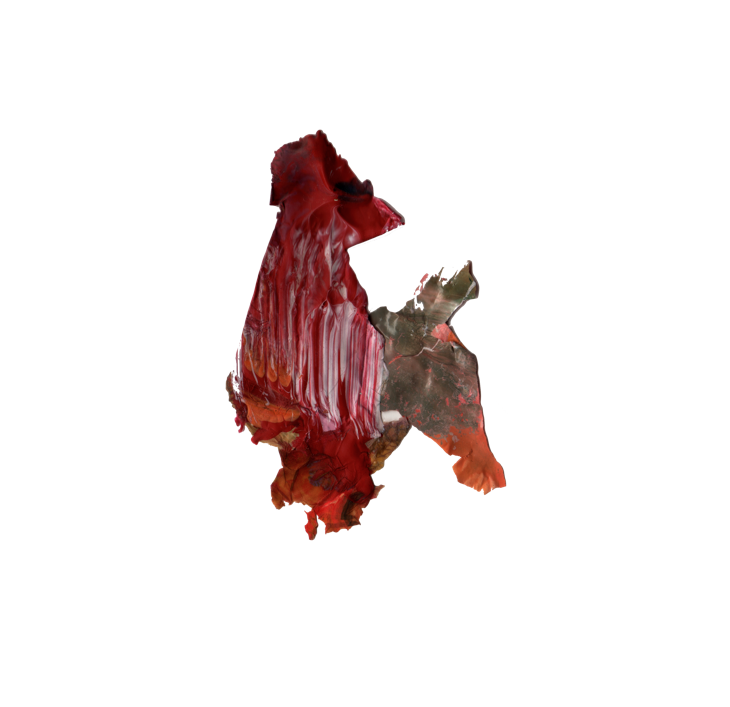 RF 11.png