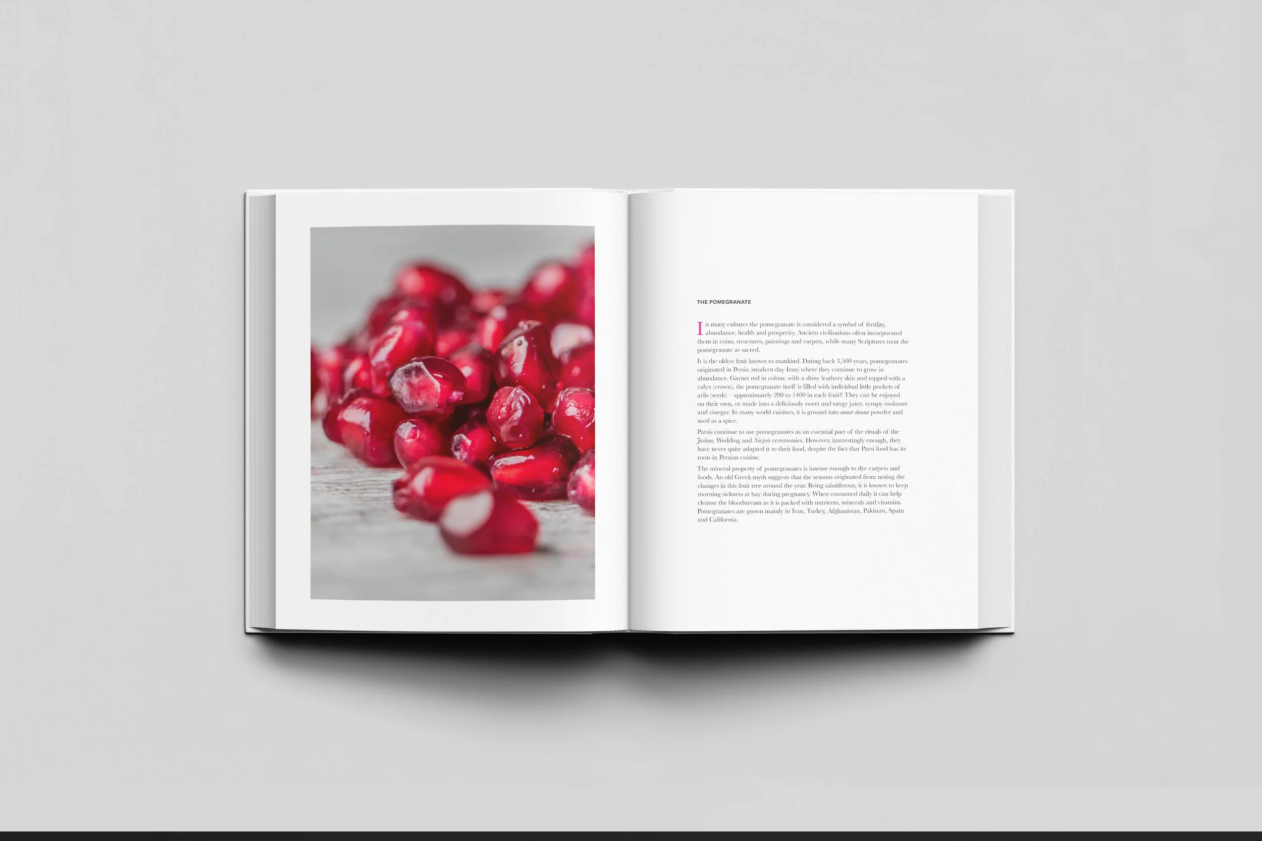 Nil cookbook inside 2.jpg