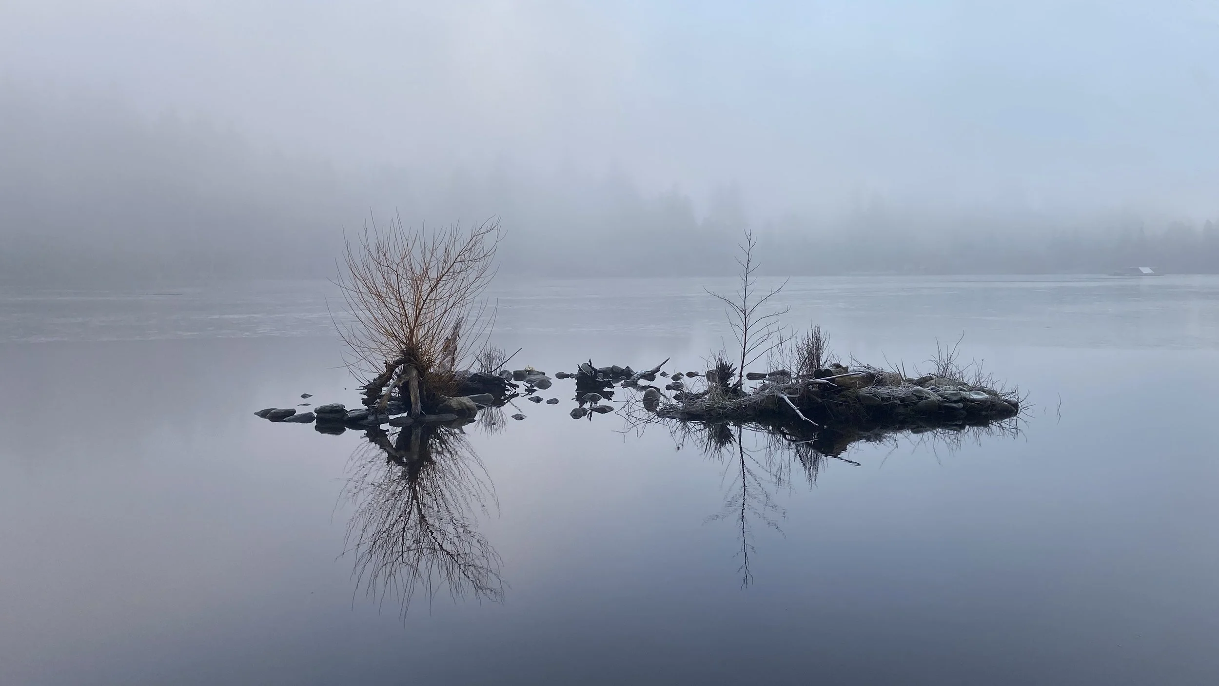 Fog.jpg
