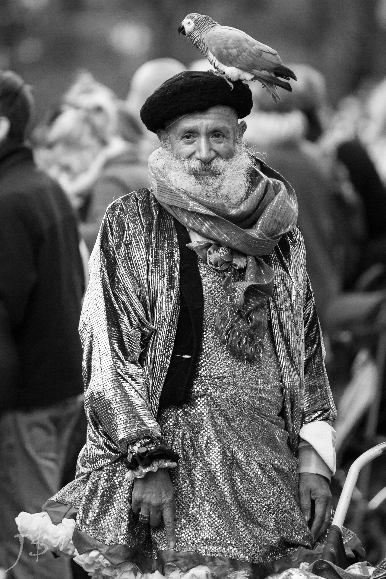 Master of All Things Shiny