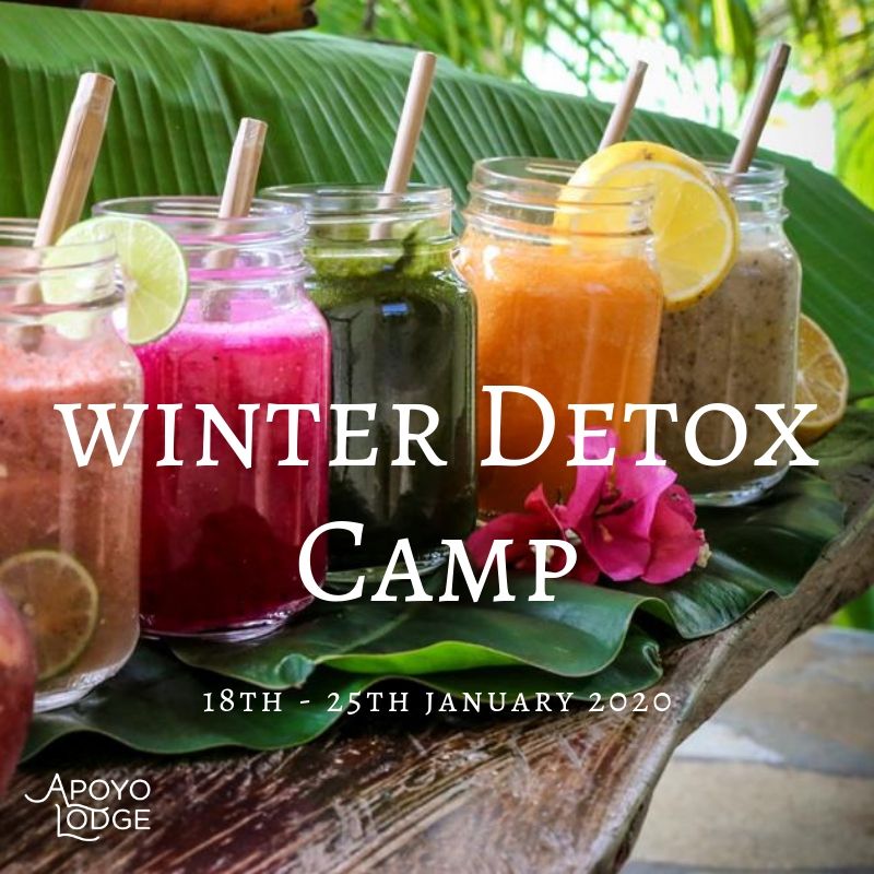 Winter Detox Camp.jpg
