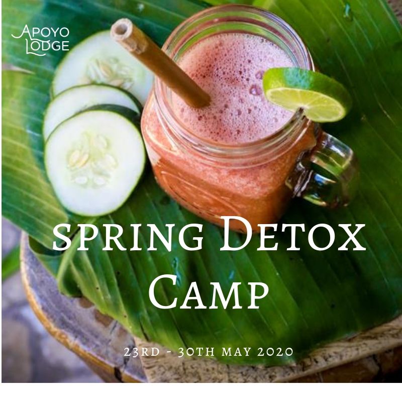 Spring Detox Camp.jpg