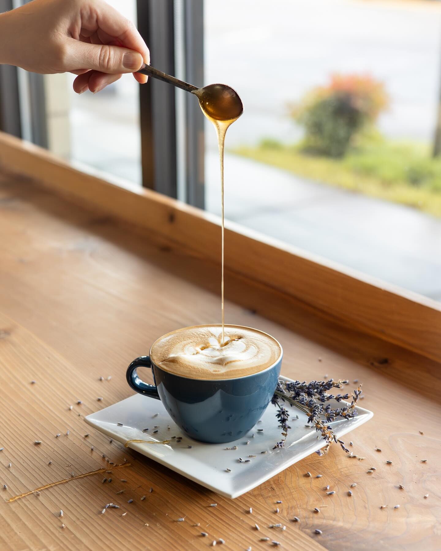 Next up in our spring specials lineup: Meadowfoam! 🍯🌼 Crafted to mimic the delicate flavors of Meadowfoam honey - harvested from the nectar of Oregon and California&rsquo;s Limnanthes Alba flowers - this brand new latte is our ode to spring with no