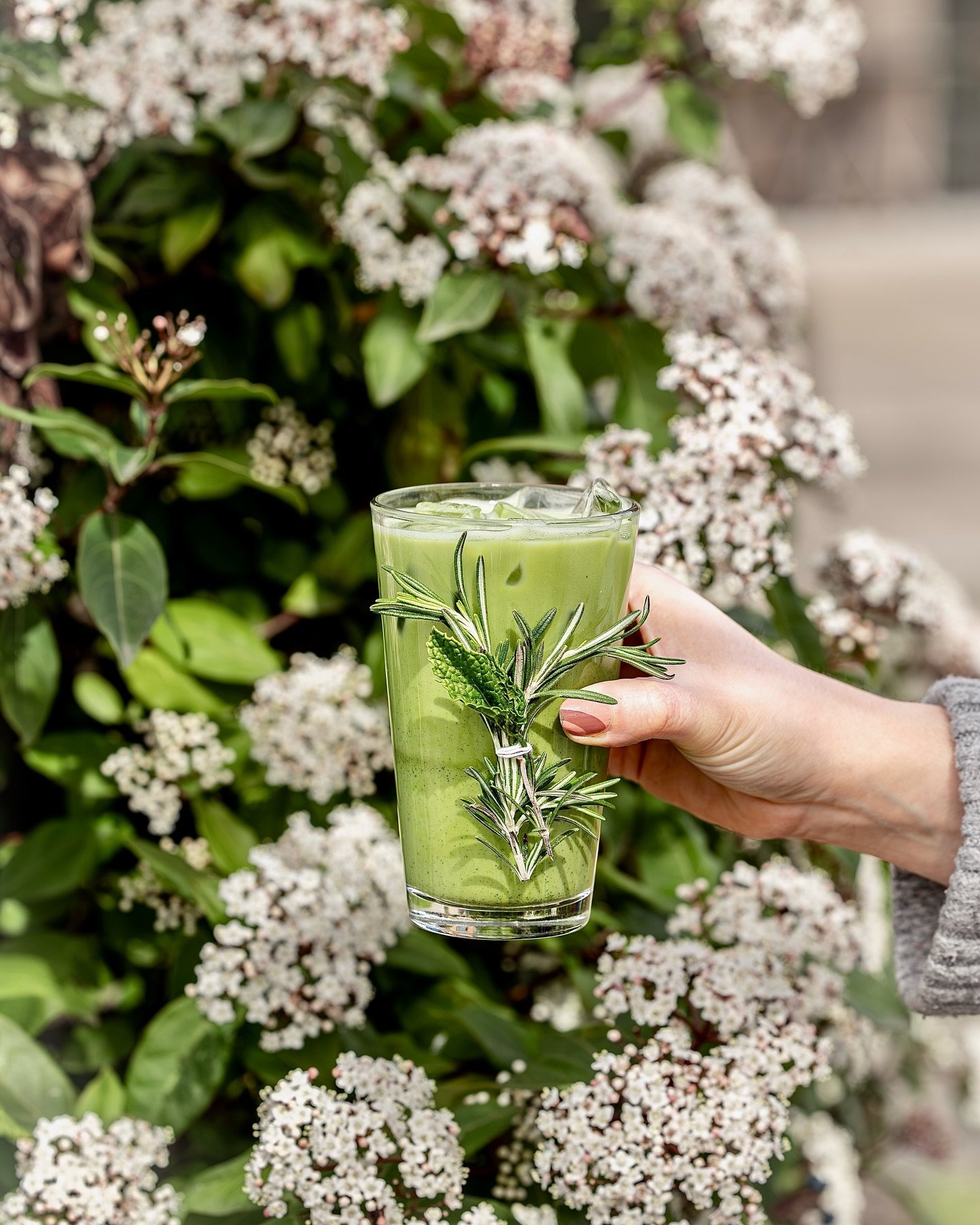 🌷🌿EVERJADE🌿🌷

You know her, you love her: the last but not least of our spring specials is the Everjade!! 🌿🌷This rosemary mint matcha is all things green and delicious! ☀️The earthy taste of matcha pairs perfectly with the savory flavor of rose