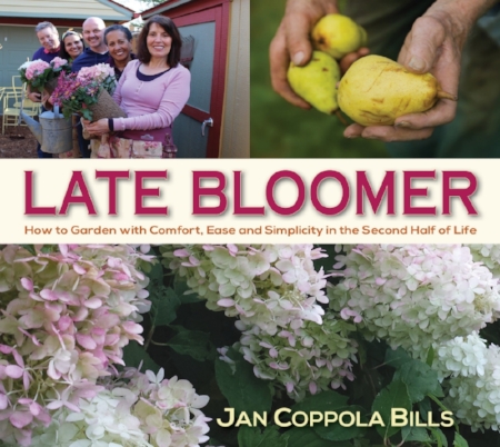 Late+Bloomer+Cover.jpg