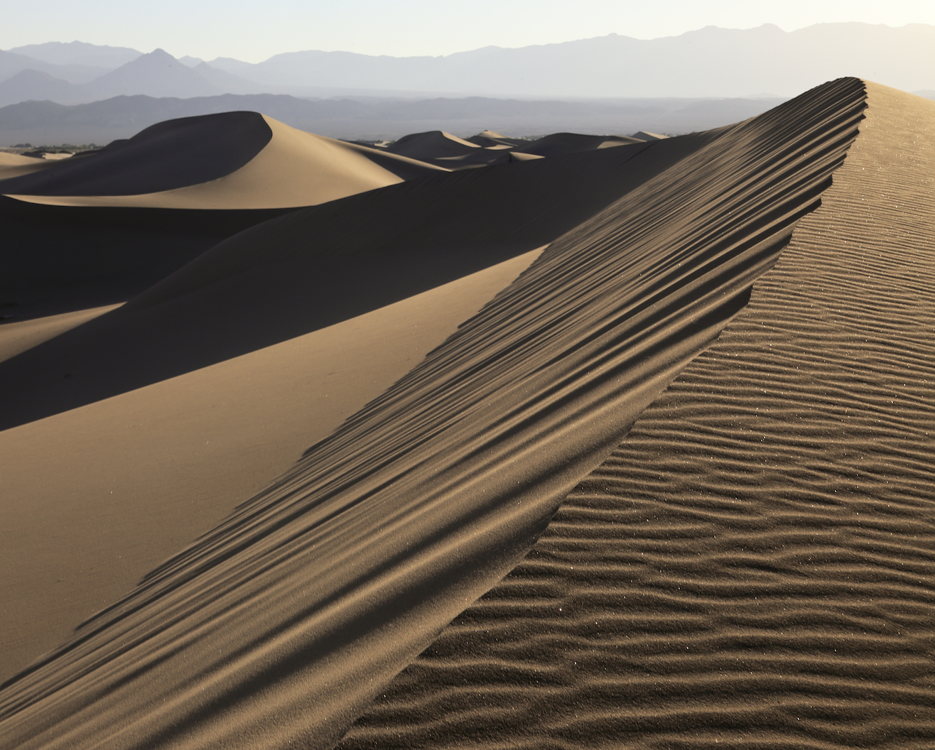 Dunes 5903.jpg