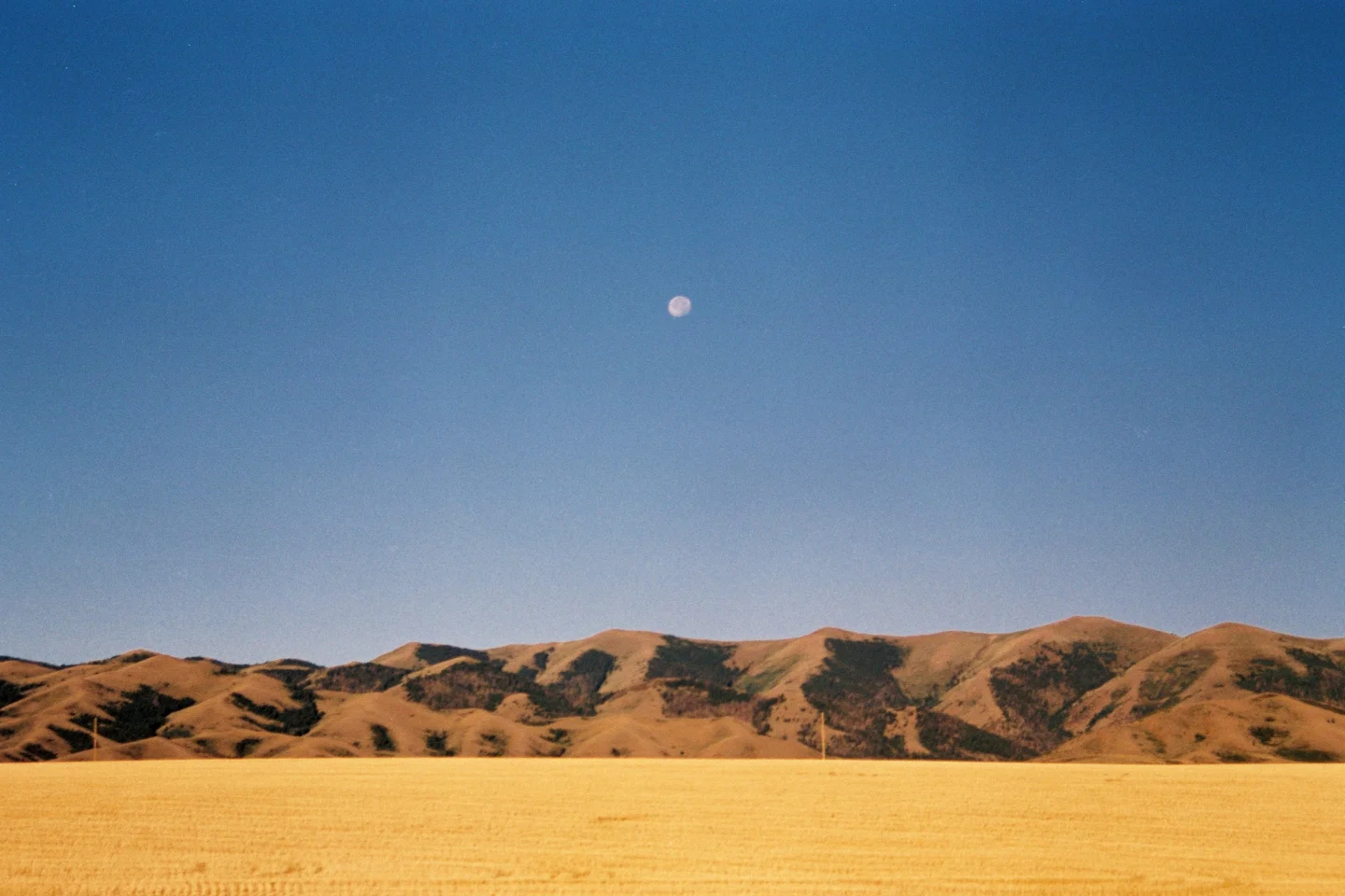Idaho-clean.jpg