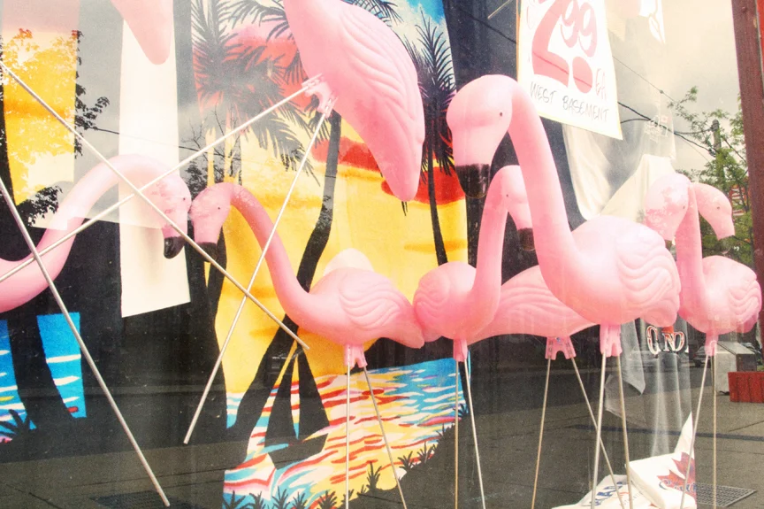 Eds Flamingos.jpg