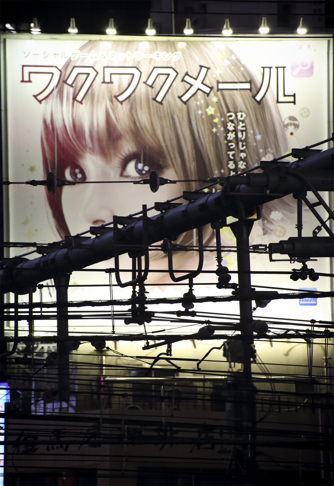Shinjuku Girl night 1.jpg
